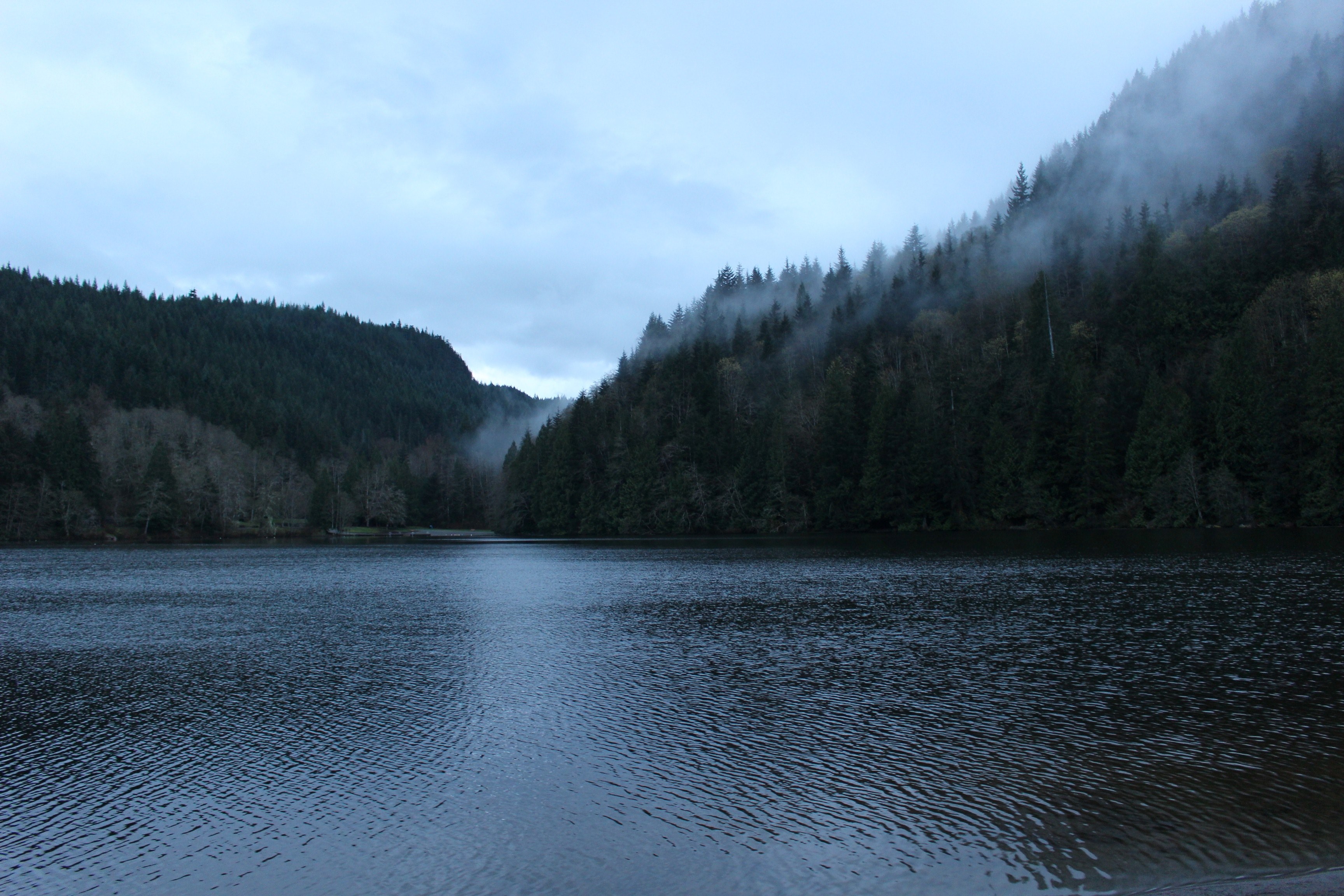 choppy surface of a lake near woody shored enveloped with a patchy fog, lake tree mountain and mist 4k, HD Wallpaper