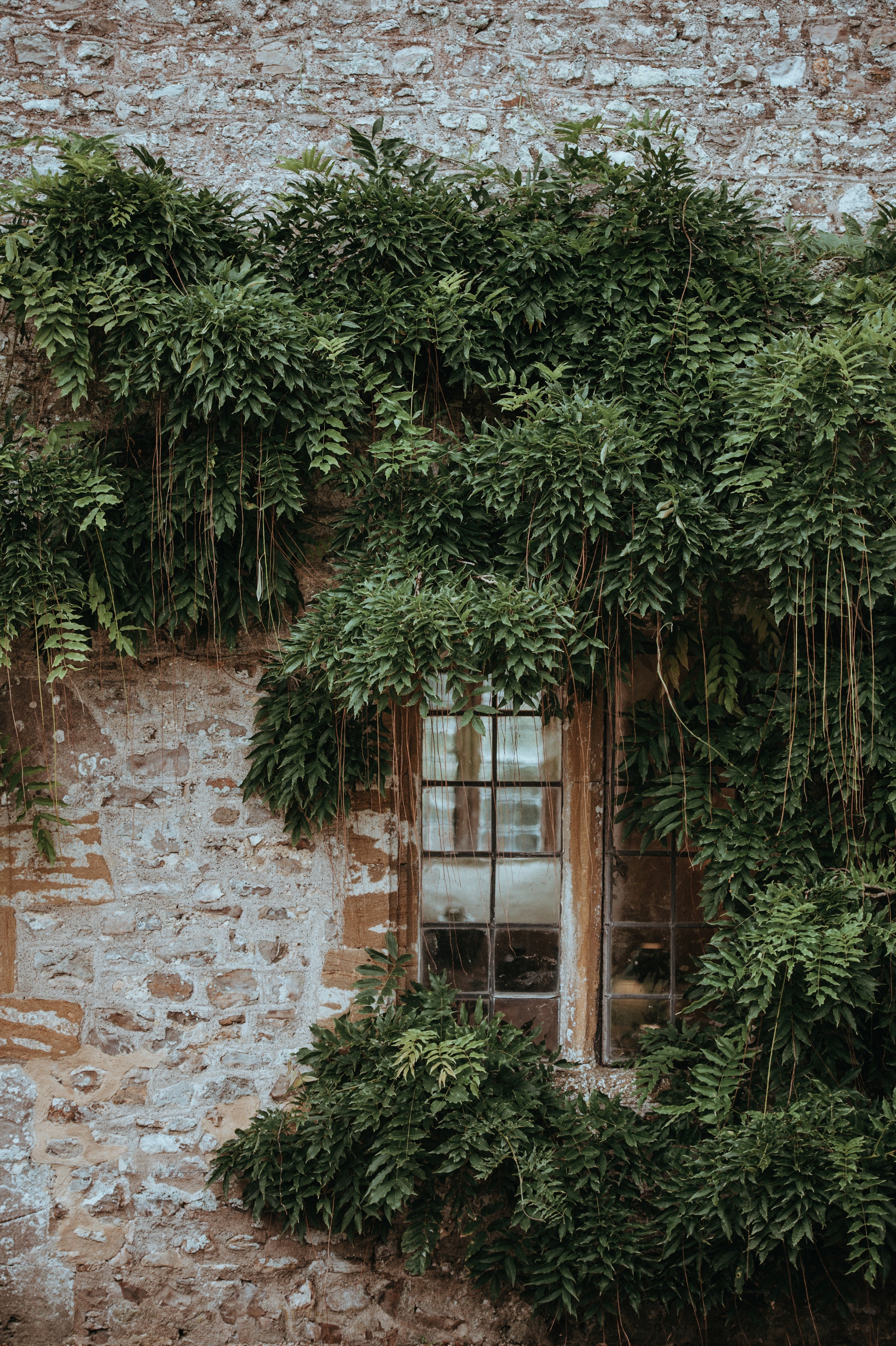 forde abbey 4k, Phone HD Wallpaper