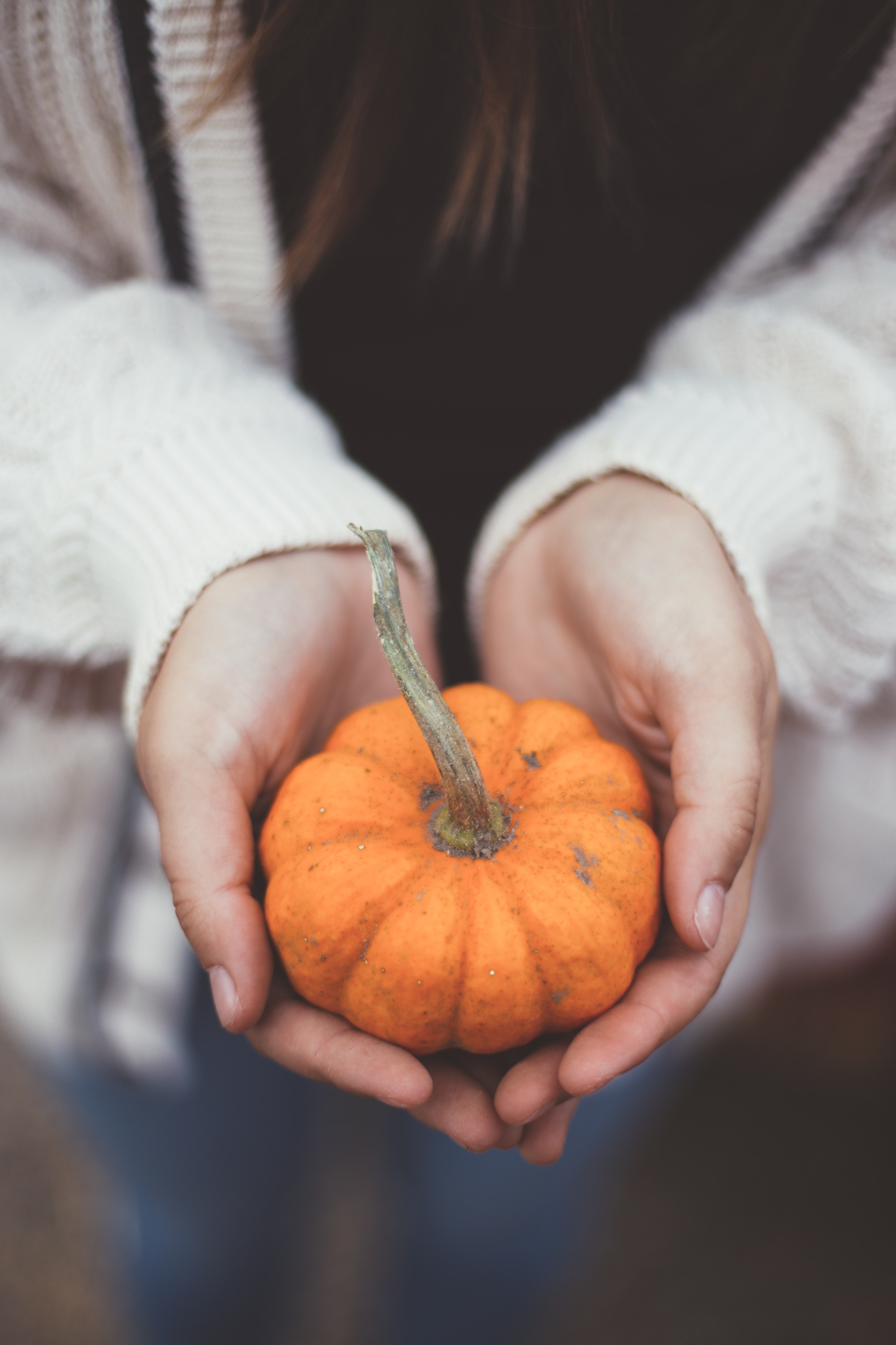 a pumpkin in hand 4k, Phone HD Wallpaper