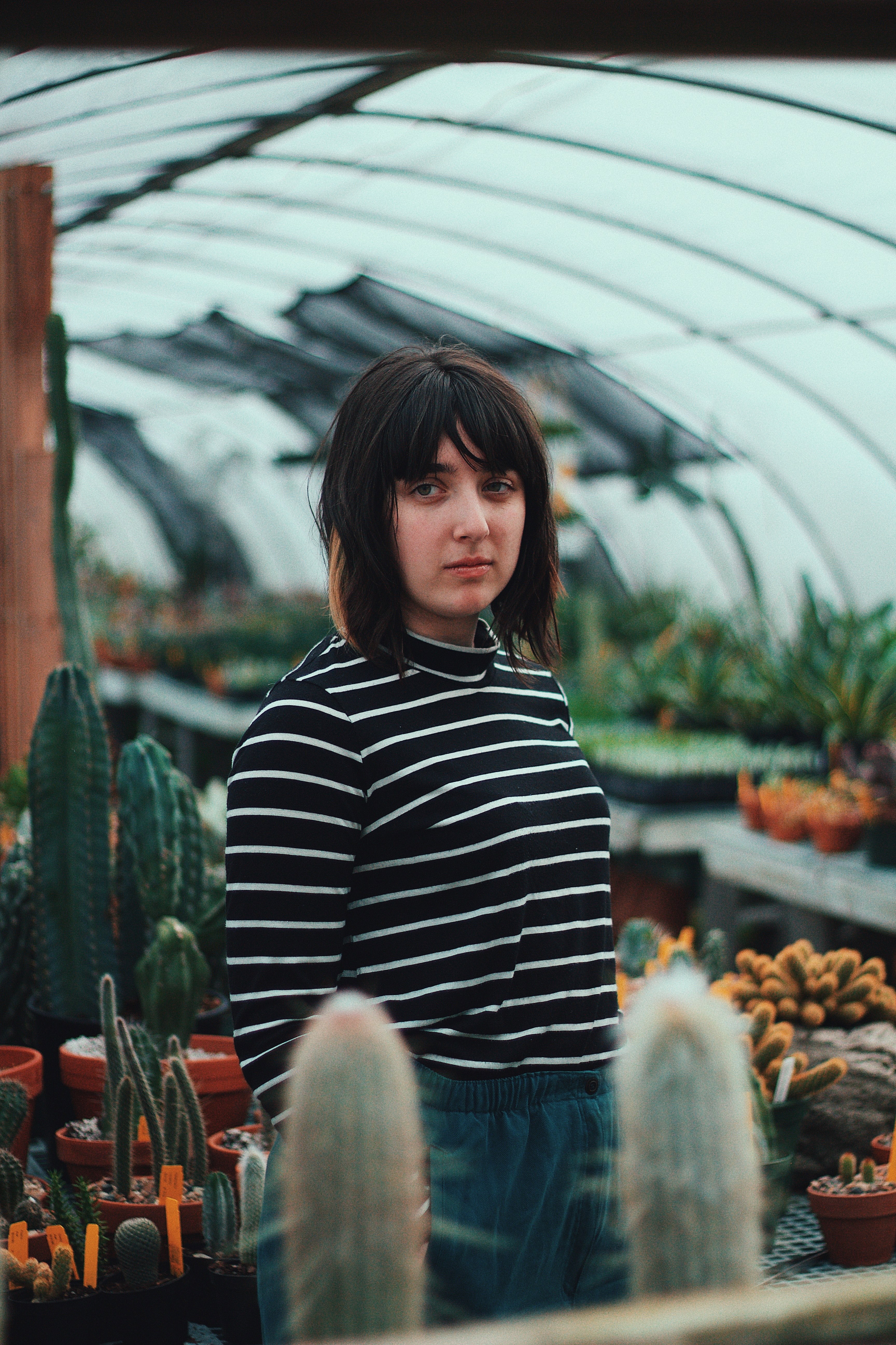 serious woman standing alone in a greenhouse with succulents, inside a greenhouse 4k, Phone HD Wallpaper