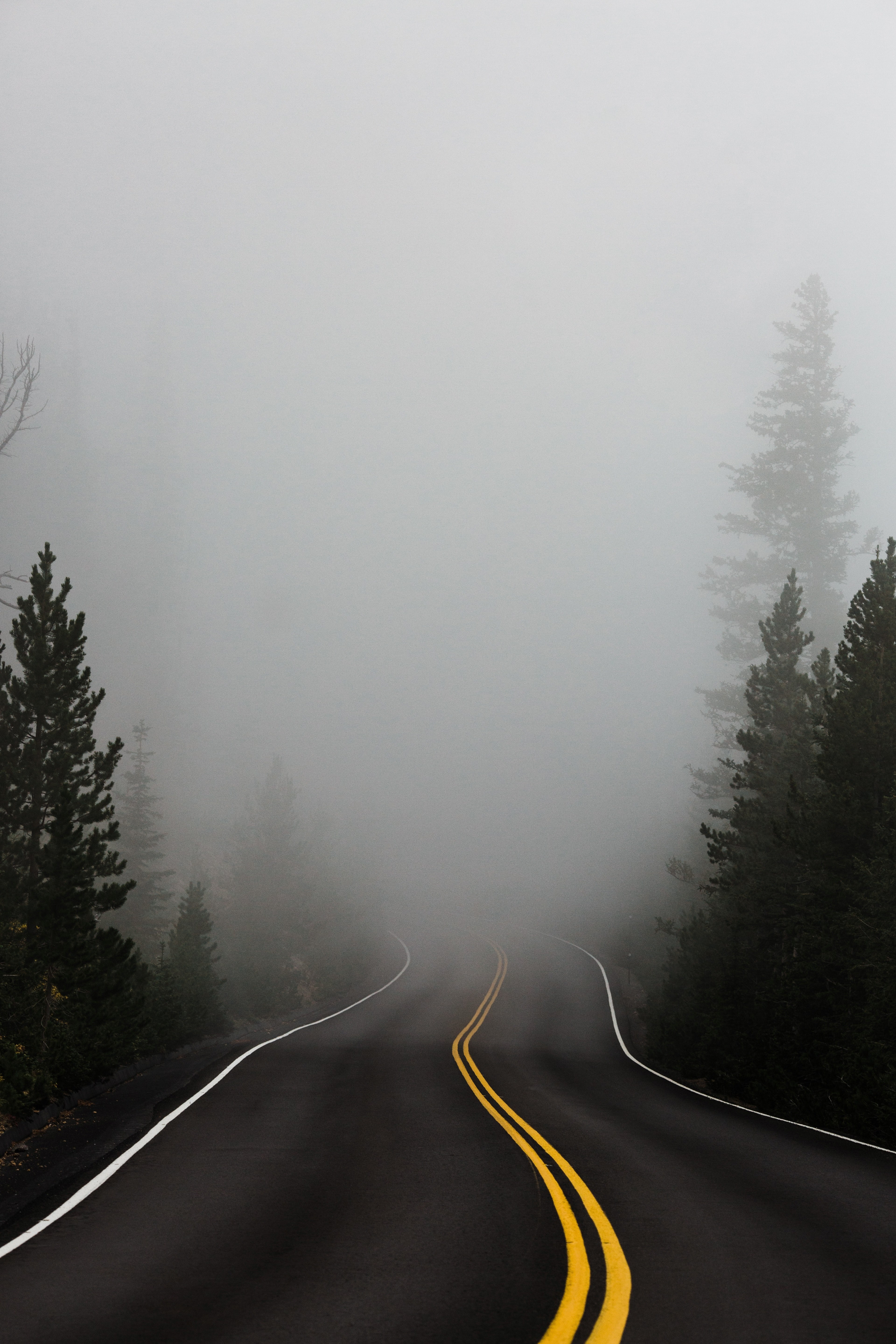 road fog mist and cloud hd, 4k, Phone HD Wallpaper