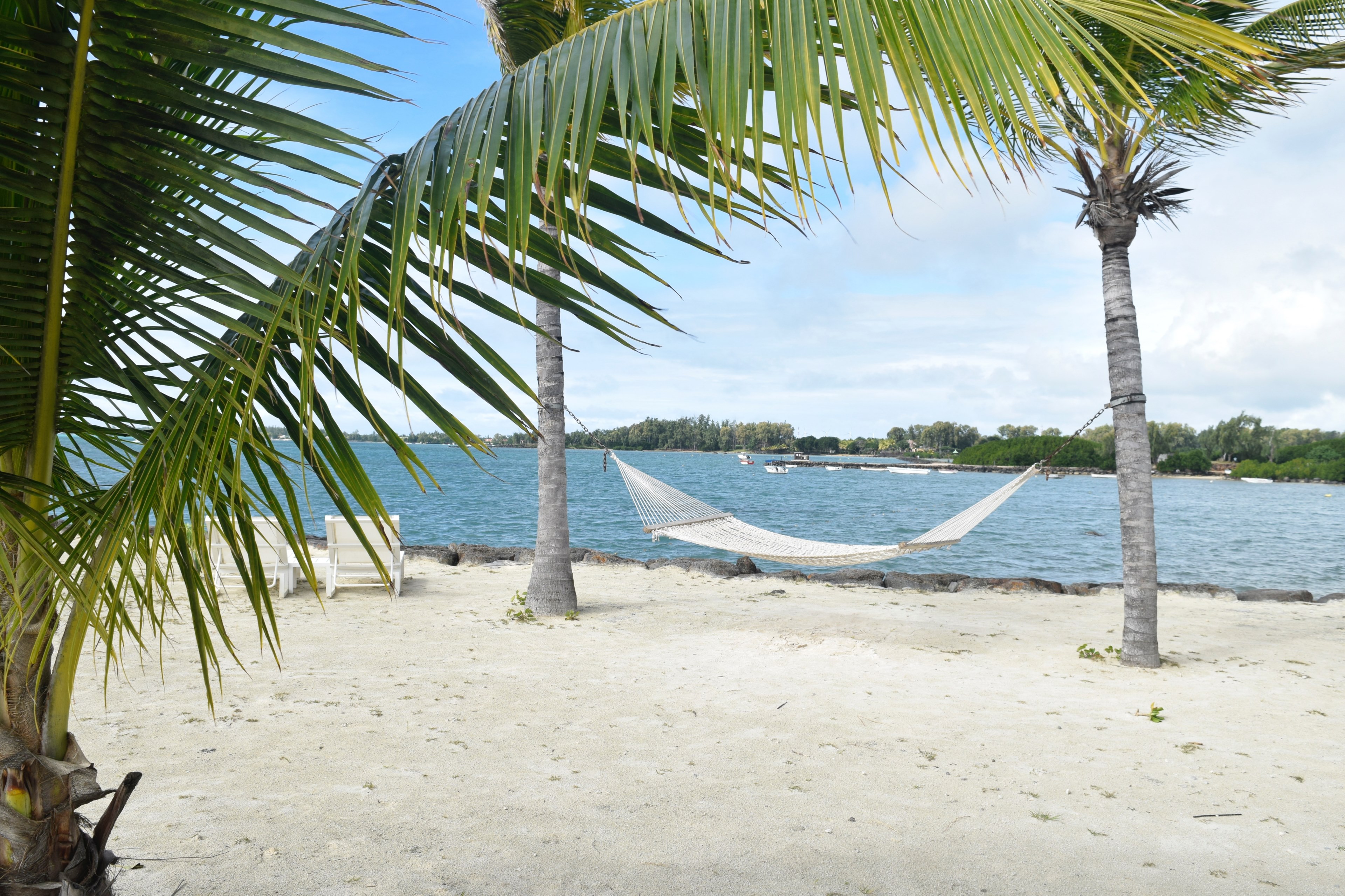 palm tropic vacation and holiday 4k, HD Wallpaper