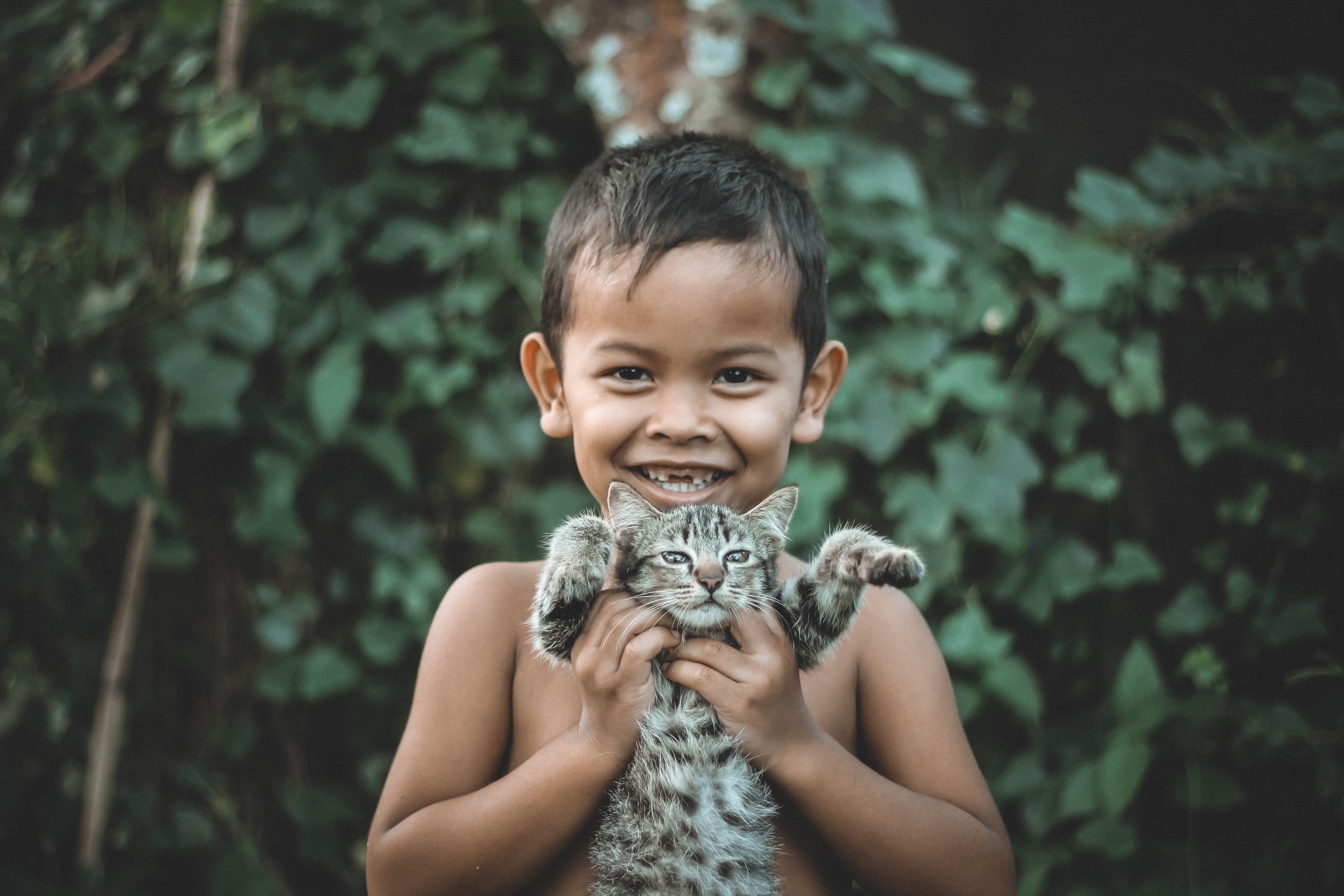 person child playful and play 4k, HD Wallpaper