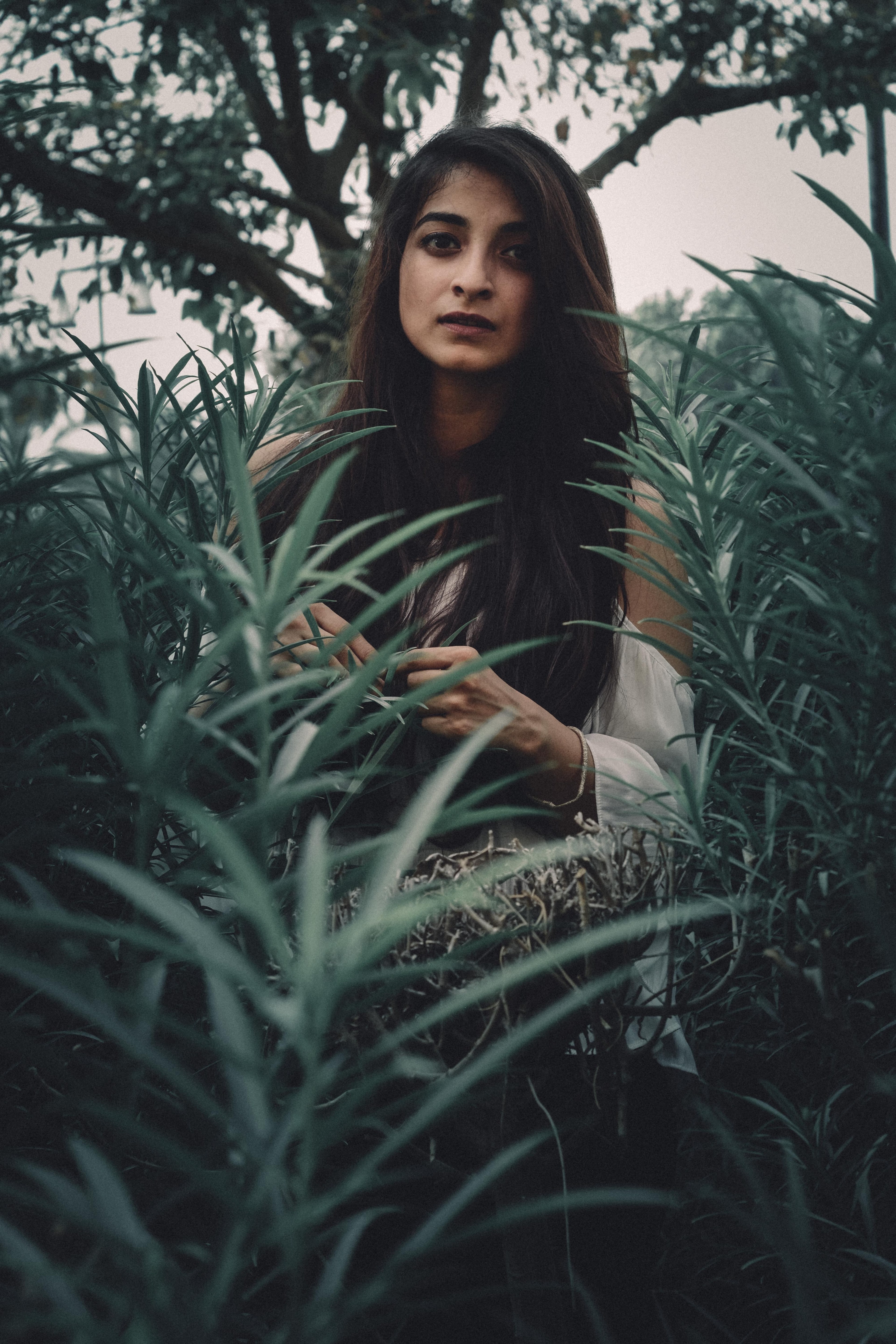 woman with long hair standing among luch green plants, hidden in the ferns 4k, Phone HD Wallpaper