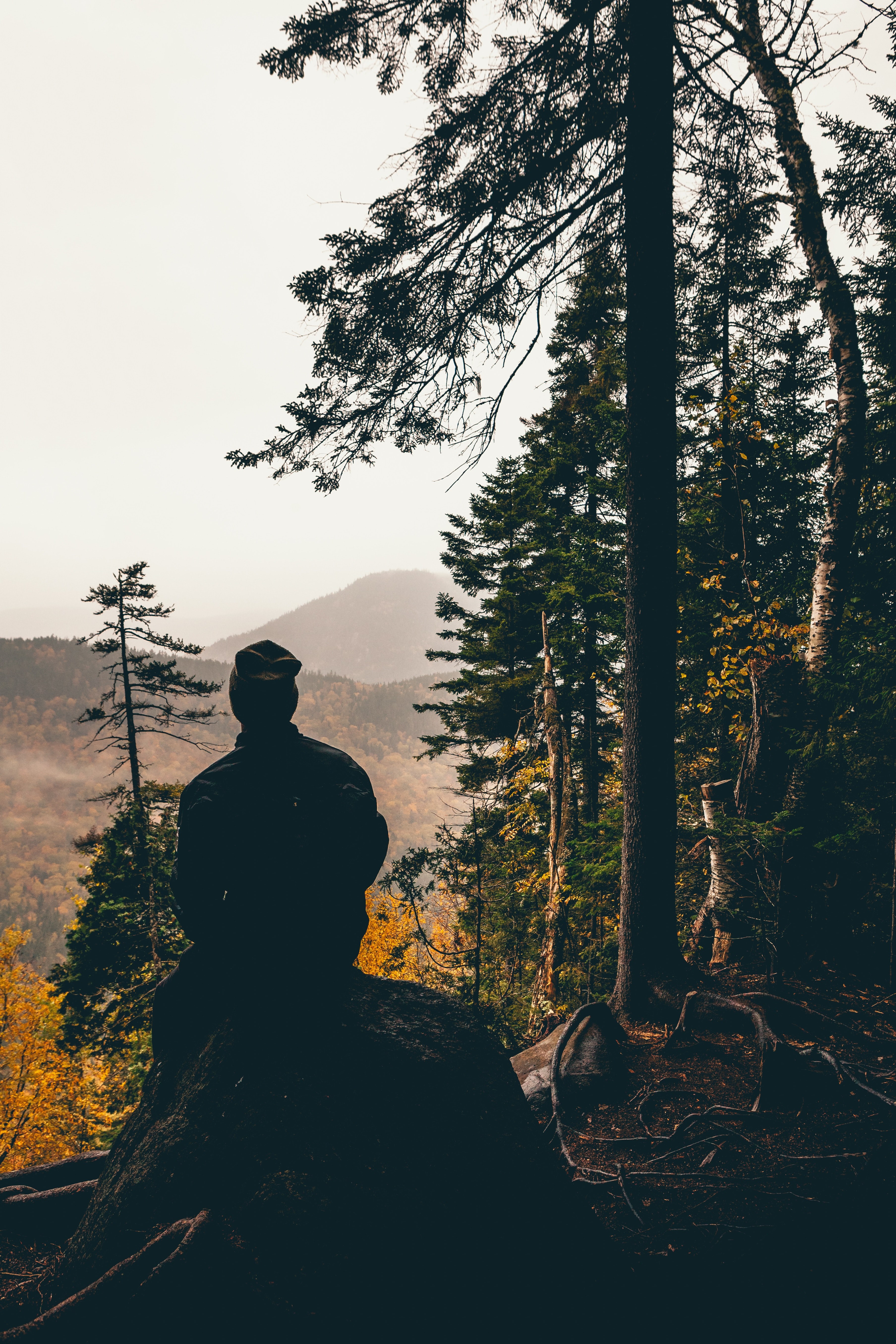 first hike of the trip 4k, Phone HD Wallpaper