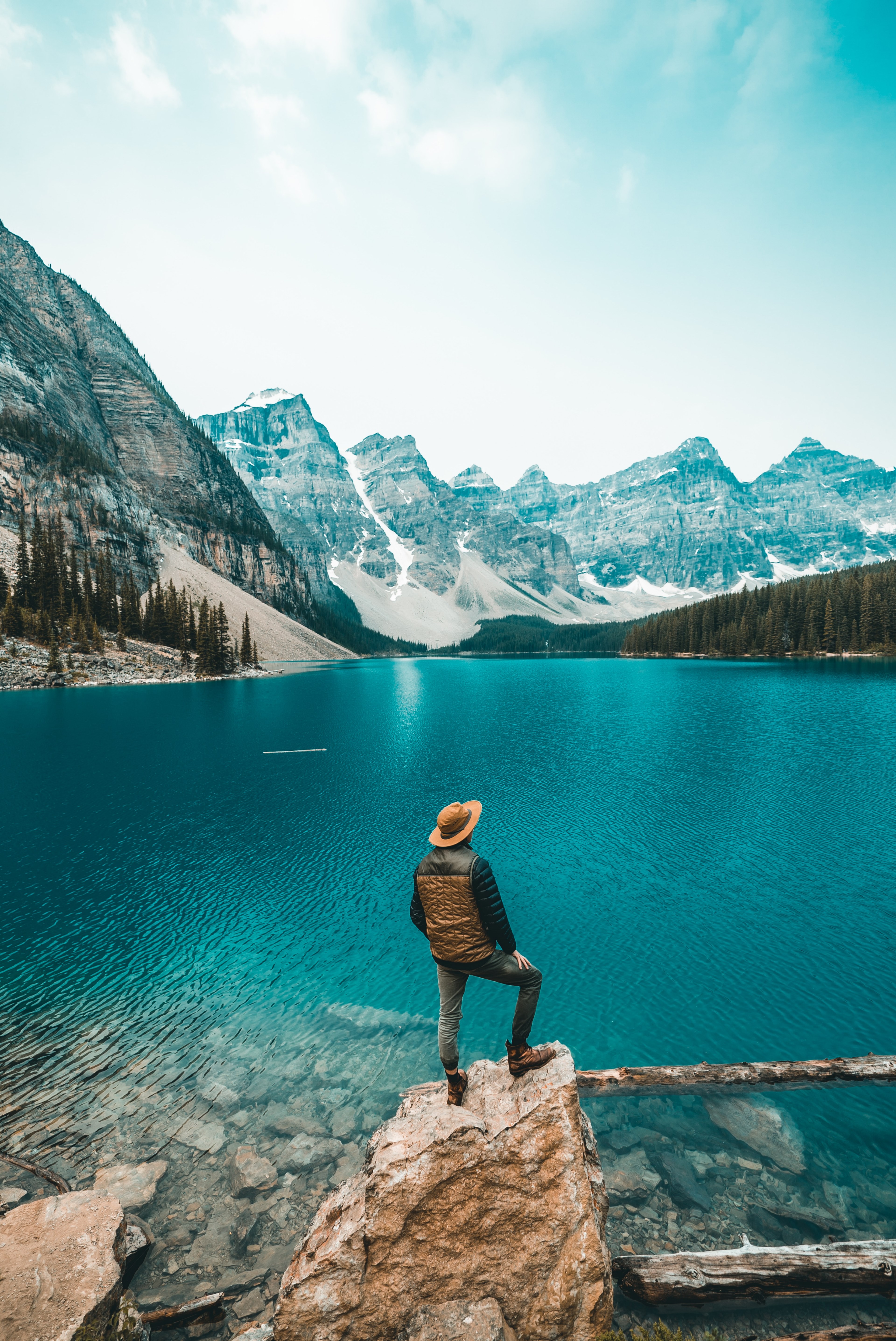 live boldly 4k, Phone HD Wallpaper