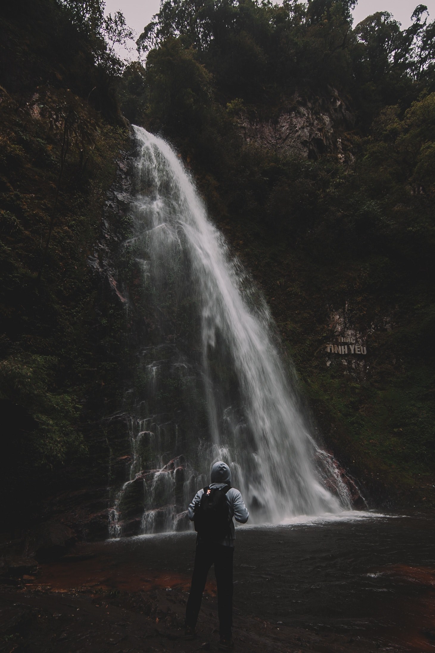 larger than life 4k, Phone HD Wallpaper
