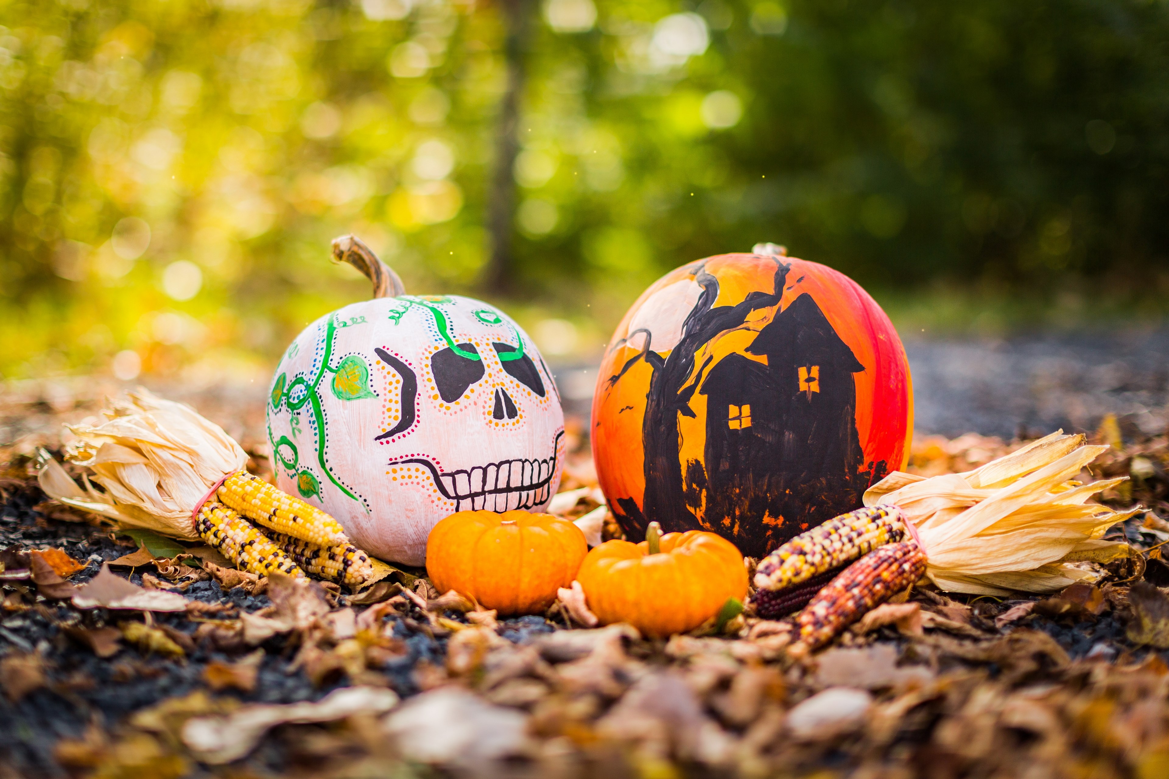 pumpkin painted art and gourd 4k, HD Wallpaper