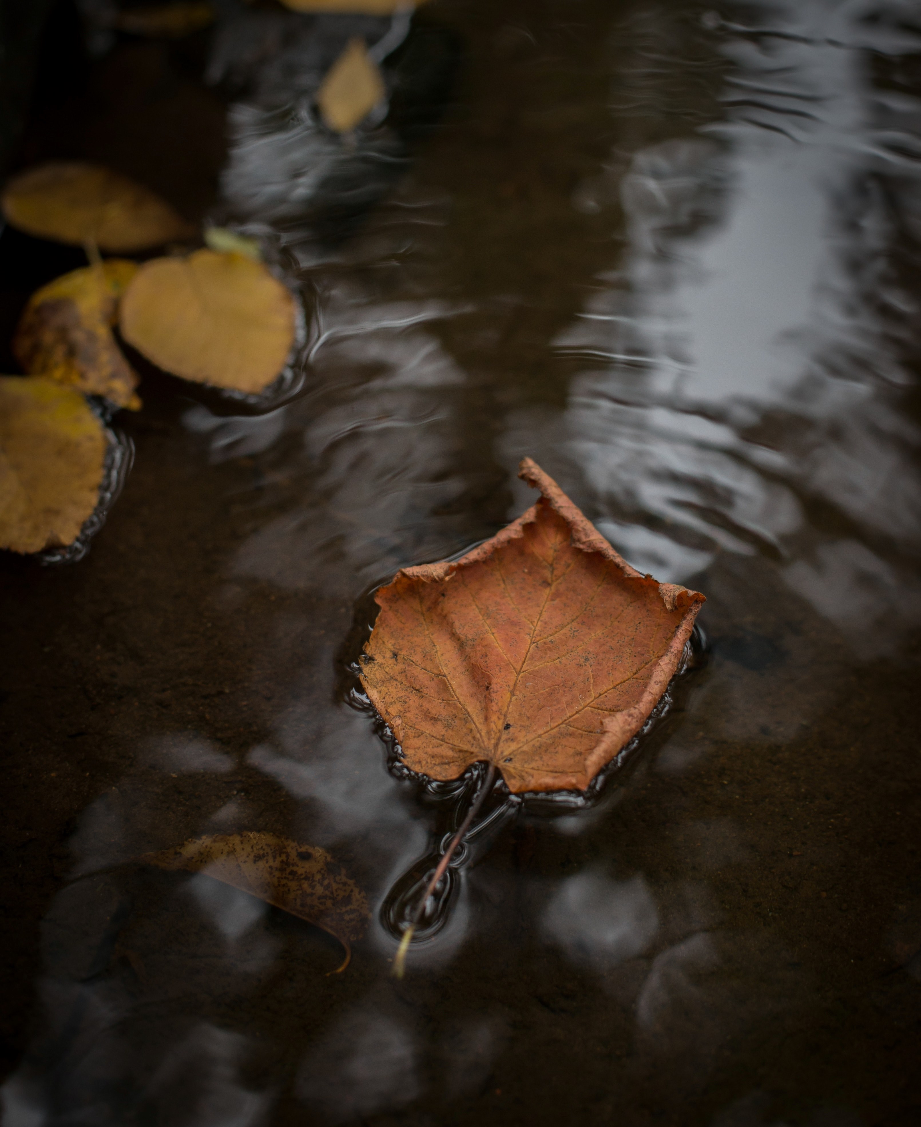 float 4k, Phone HD Wallpaper