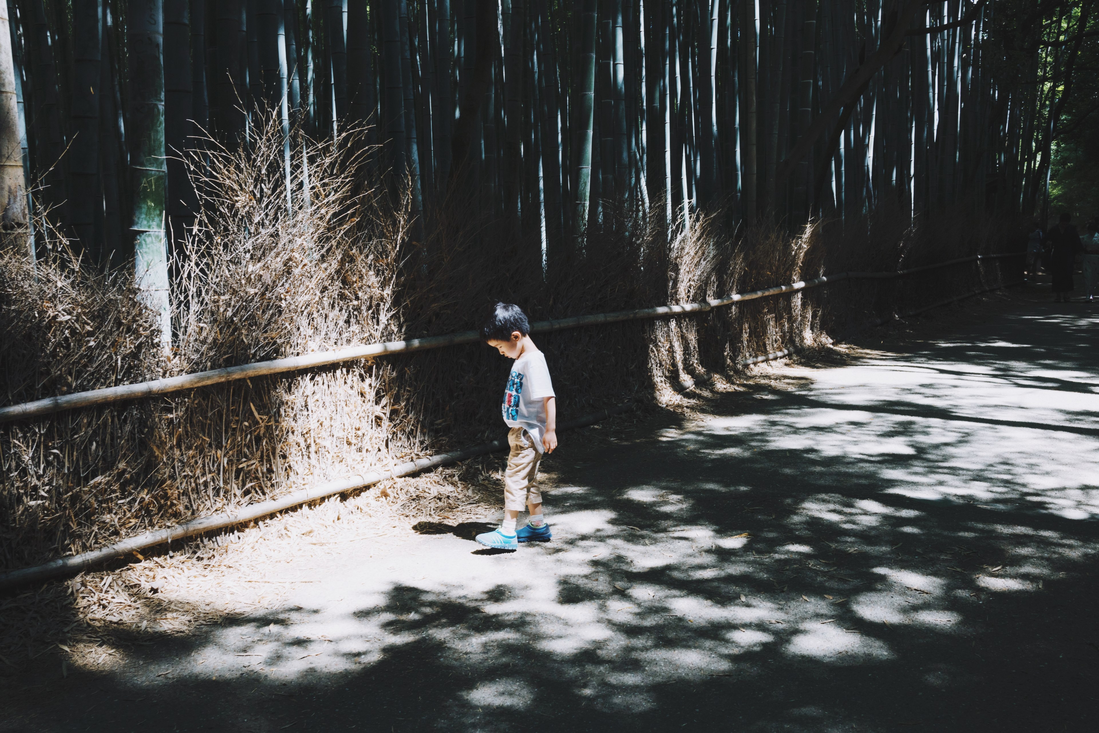 a child looks down at his shadow on an outdoor path, child looking at shadow 4k, HD Wallpaper