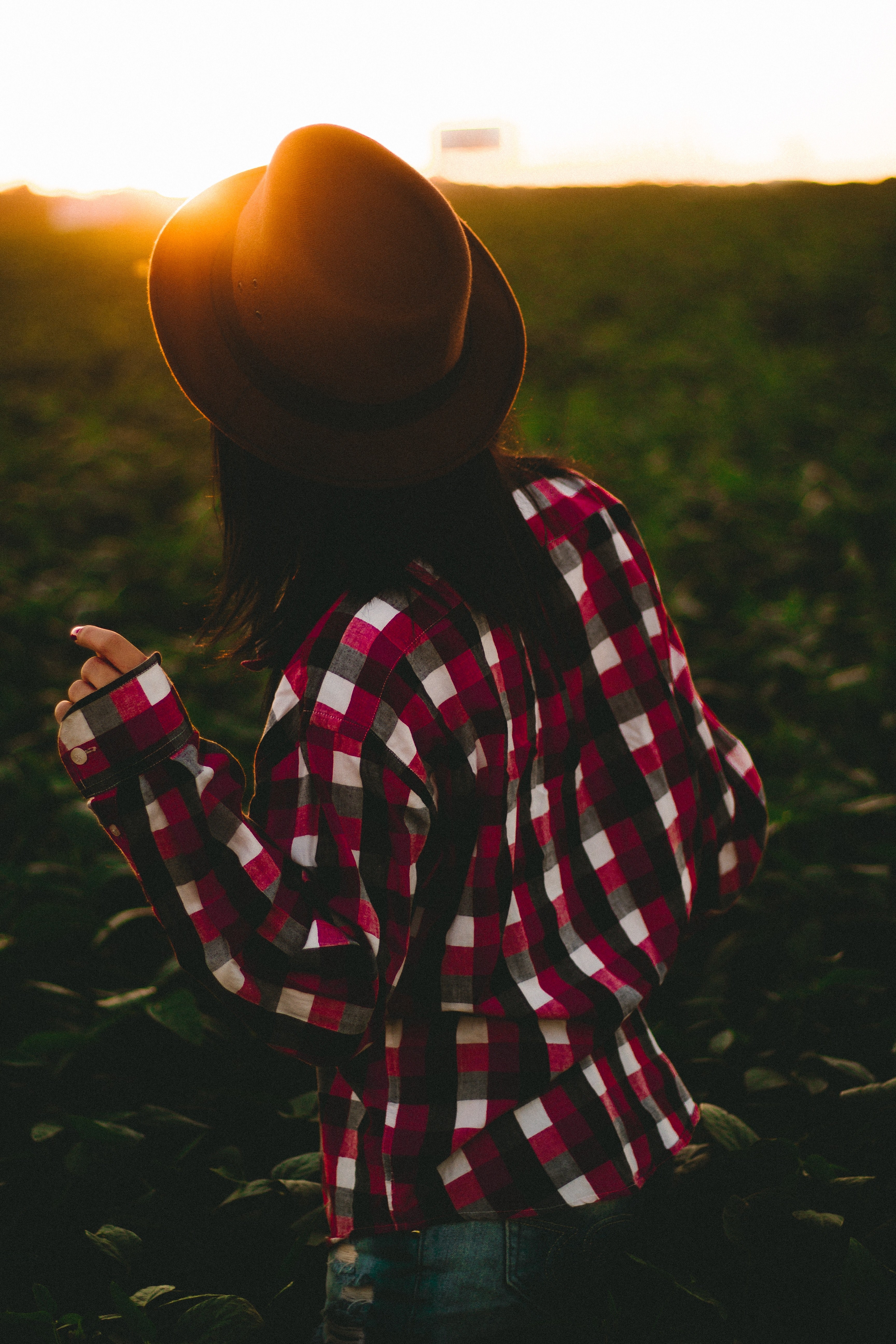 golden golden hour field and photography hd, 4k, Phone HD Wallpaper