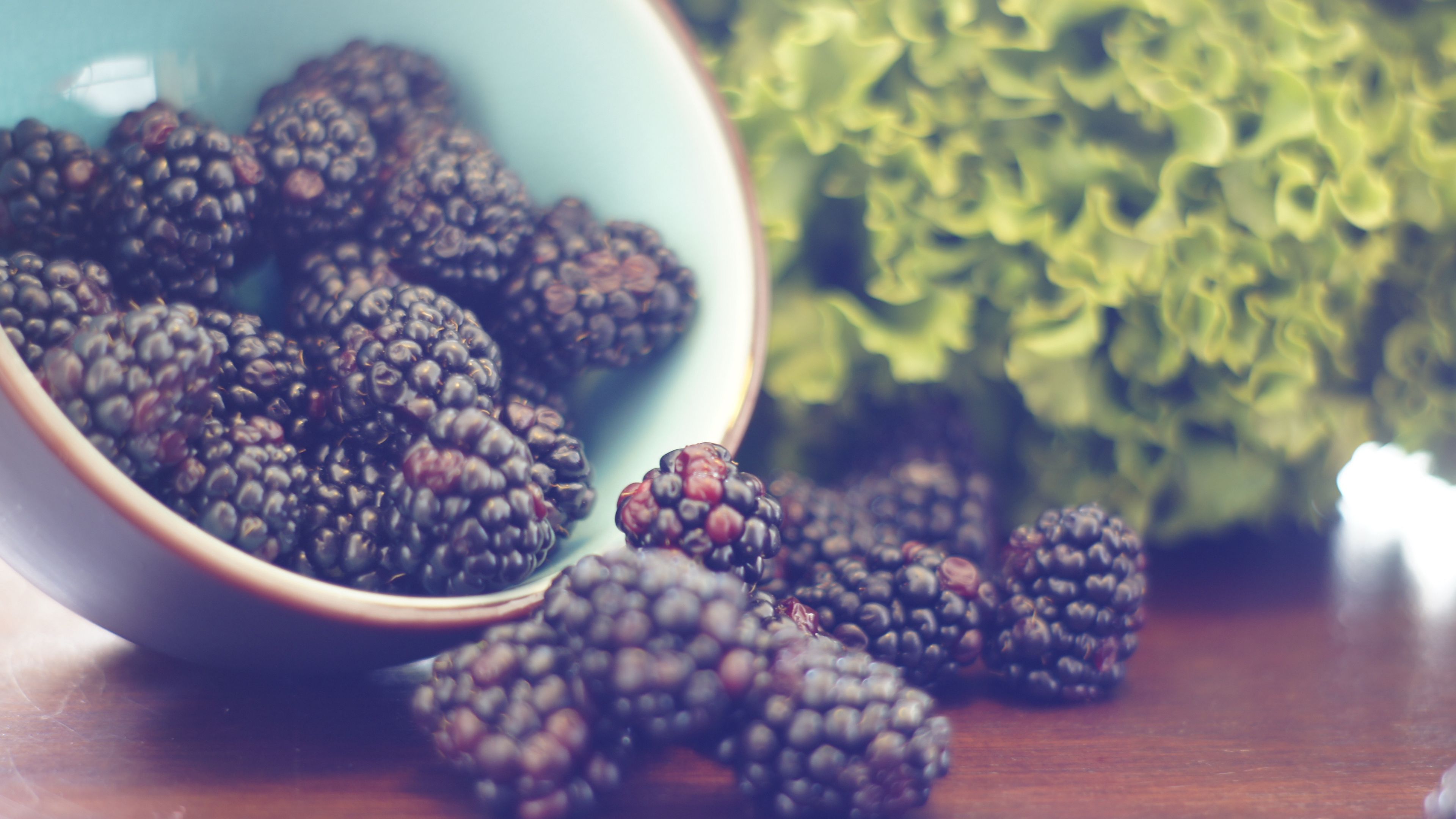 blackberries, berries, bowl, 4k, HD Wallpaper
