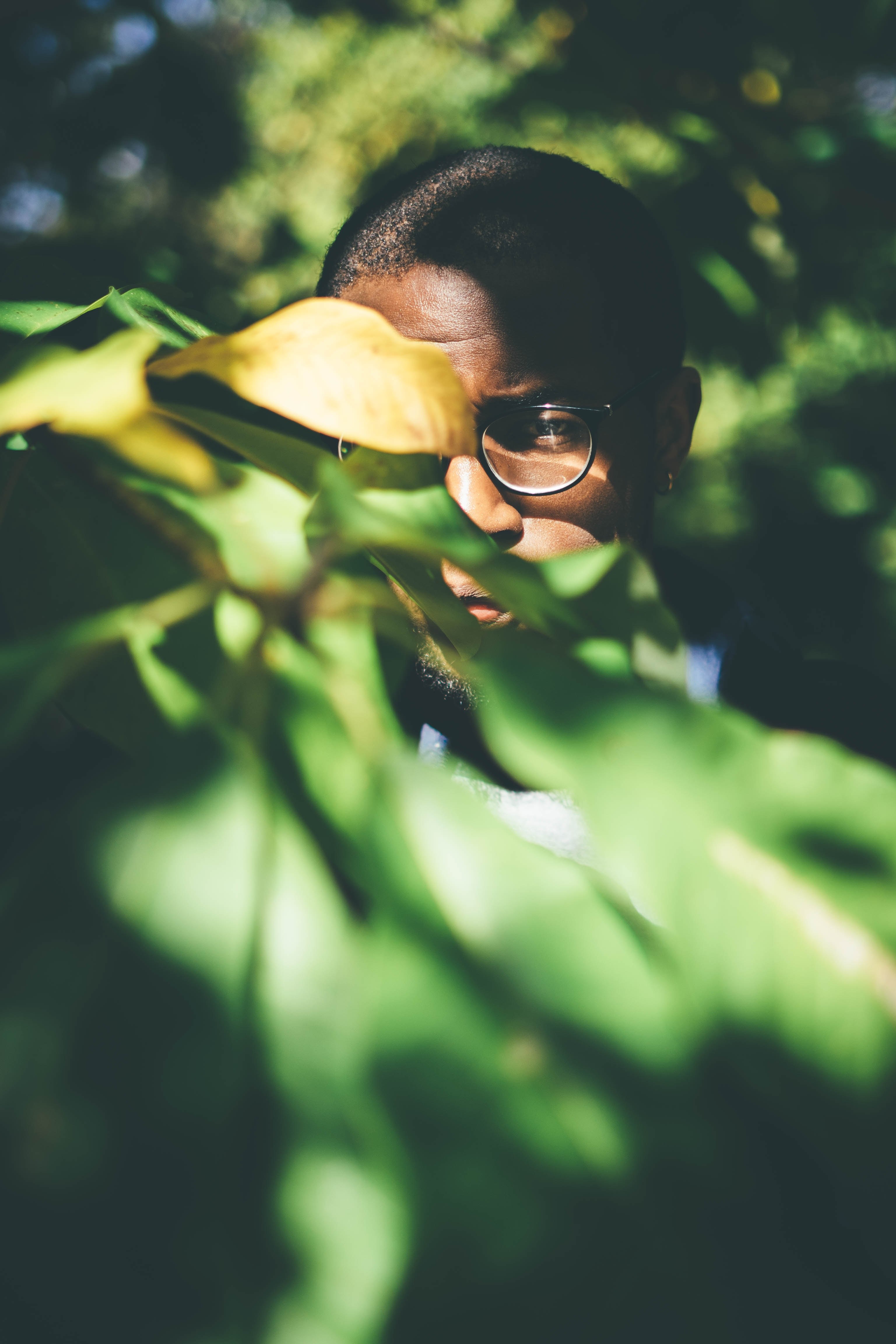 hidden in the leaf 4k, Phone HD Wallpaper