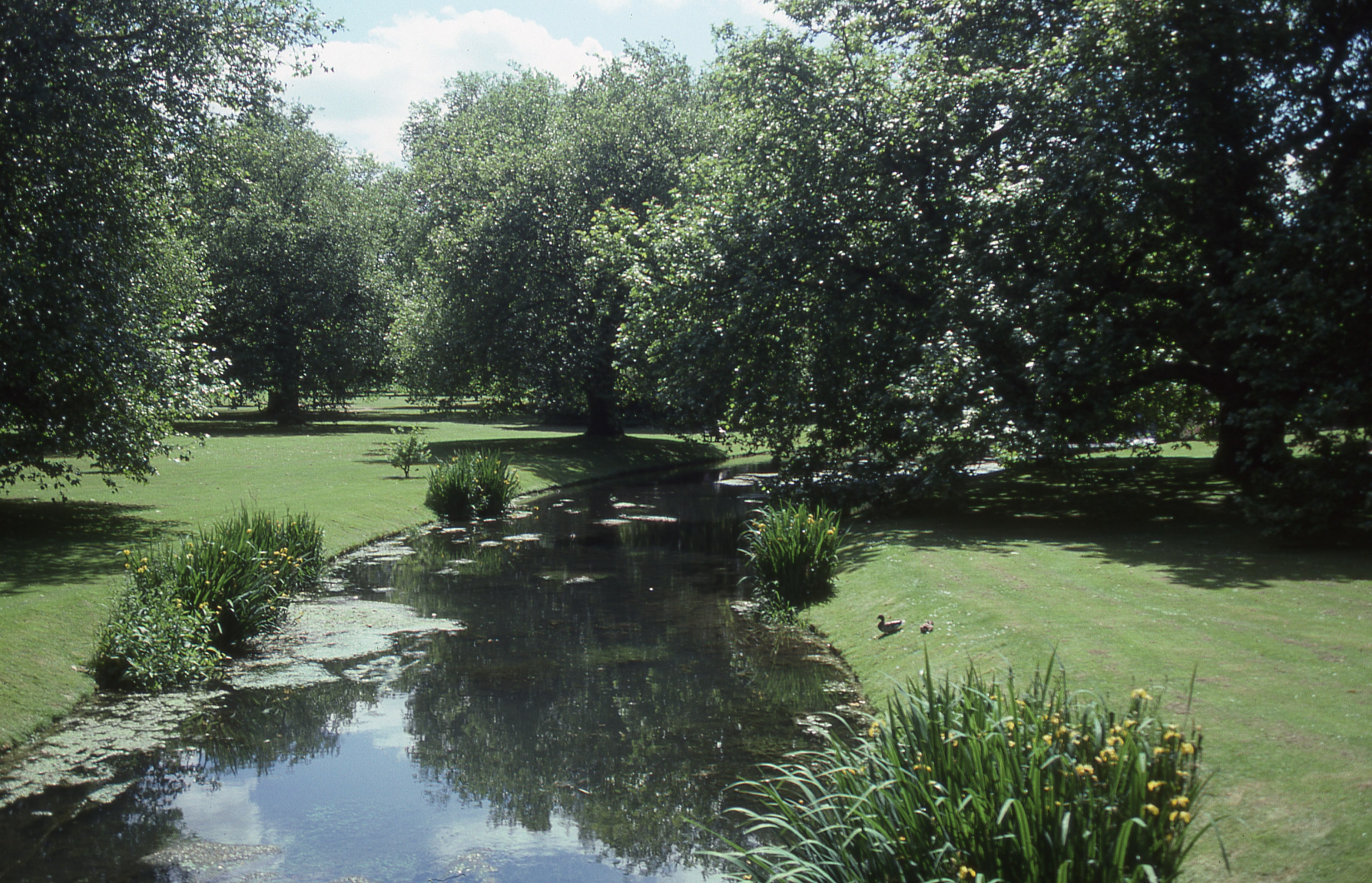 audley end house gardens 4k, HD Wallpaper