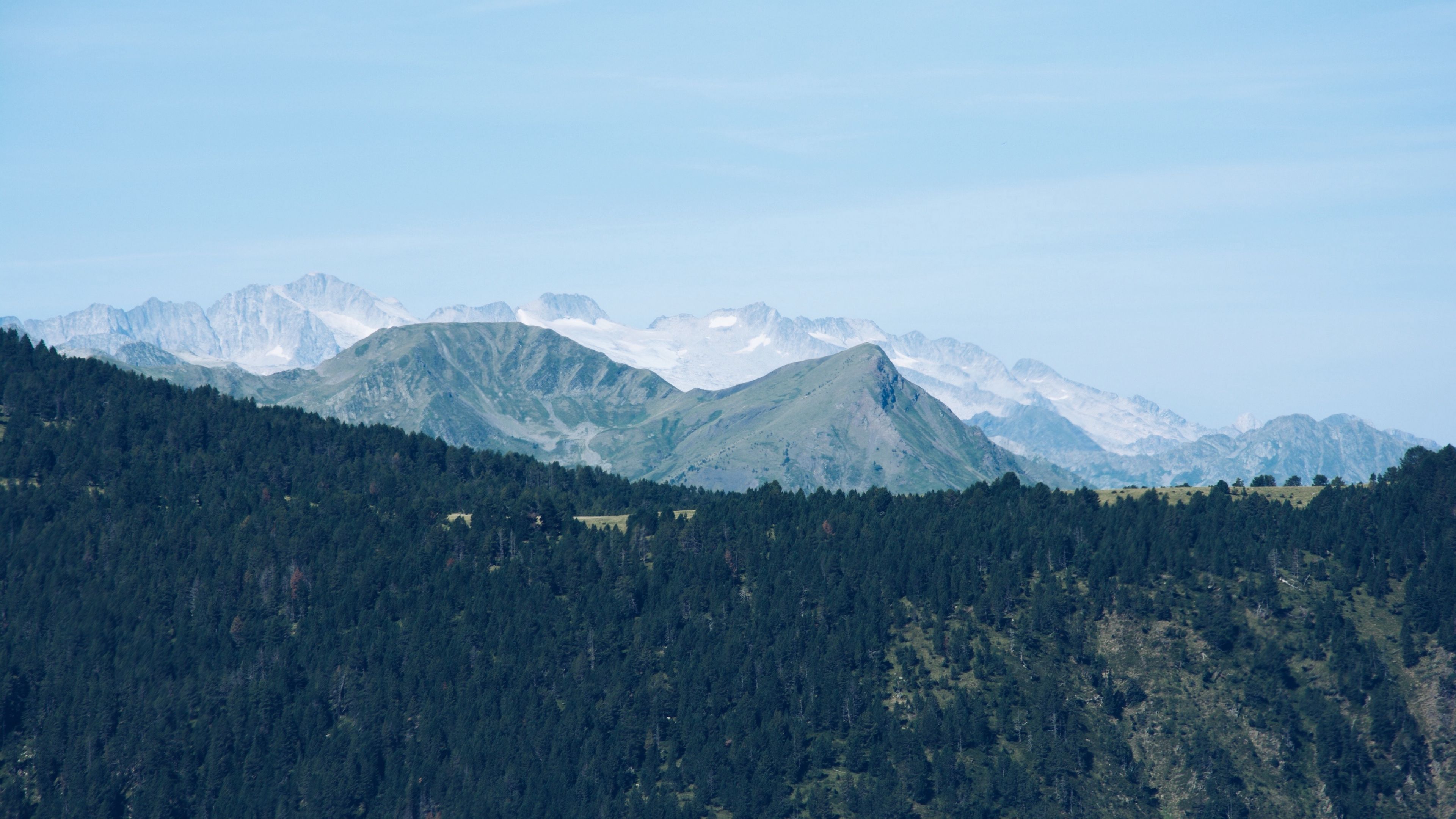 mountain range, mountains, trees, distance, 4k, HD Wallpaper