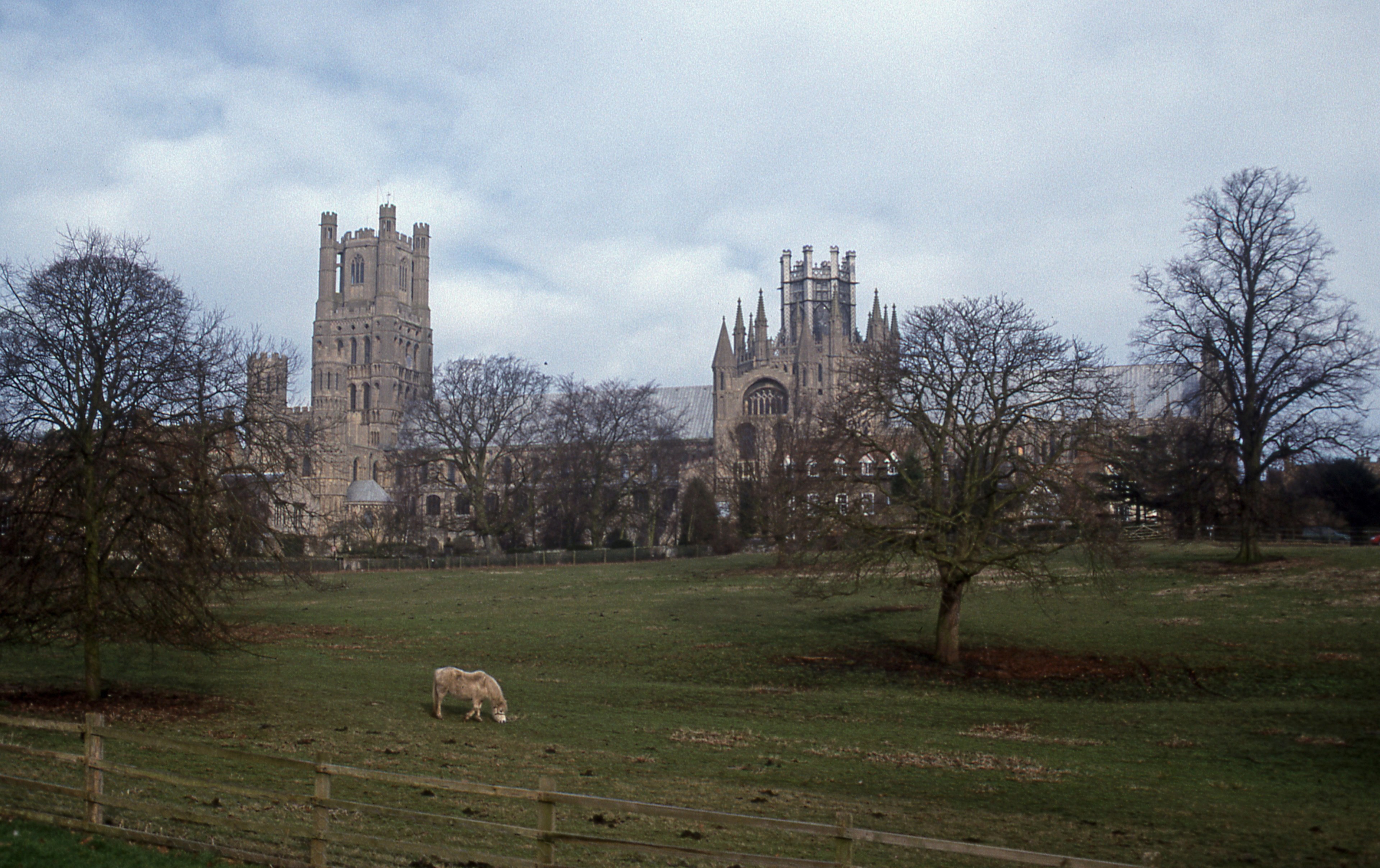 ely cathedral 4k, HD Wallpaper