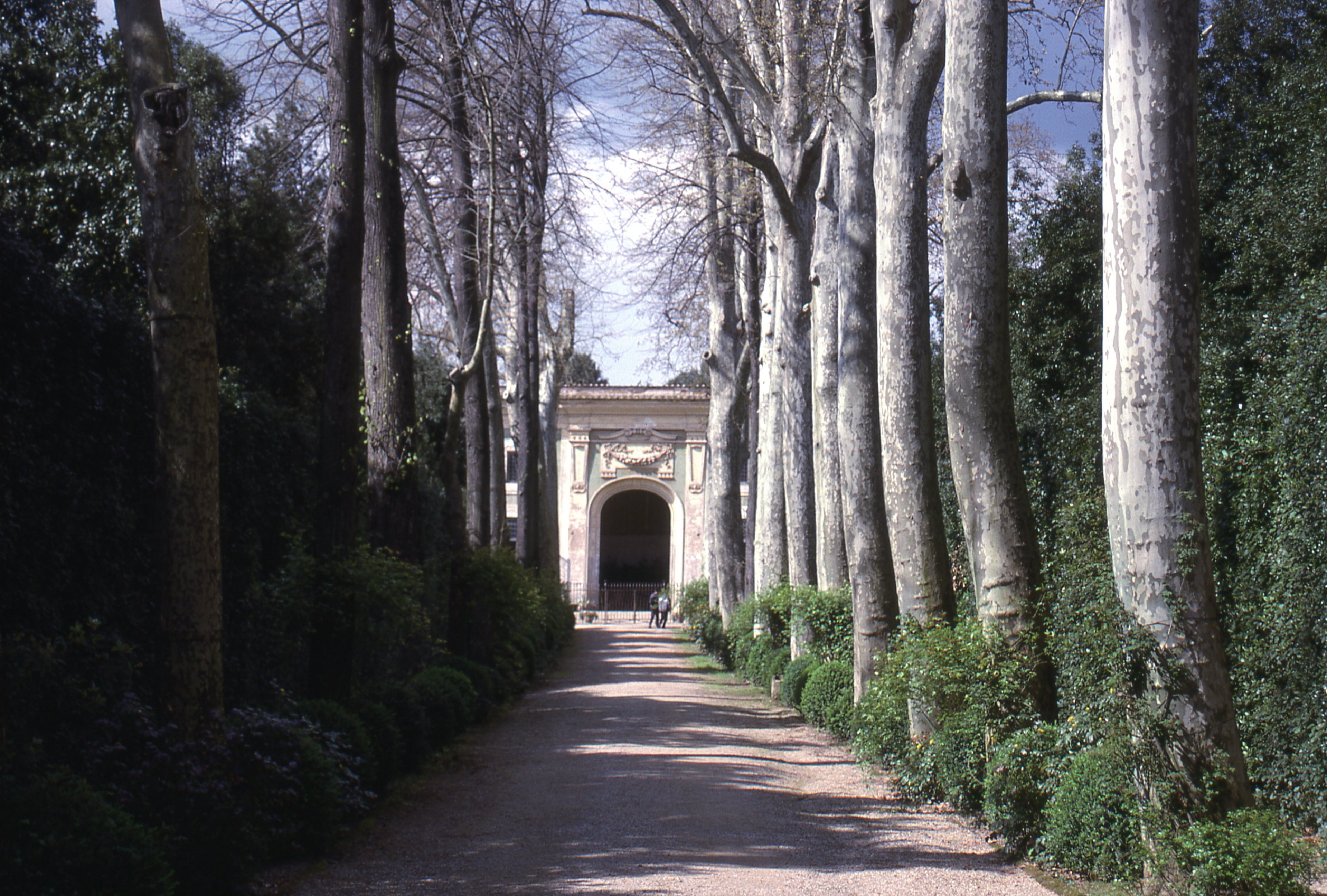 pitti palace garden florence 4k, HD Wallpaper