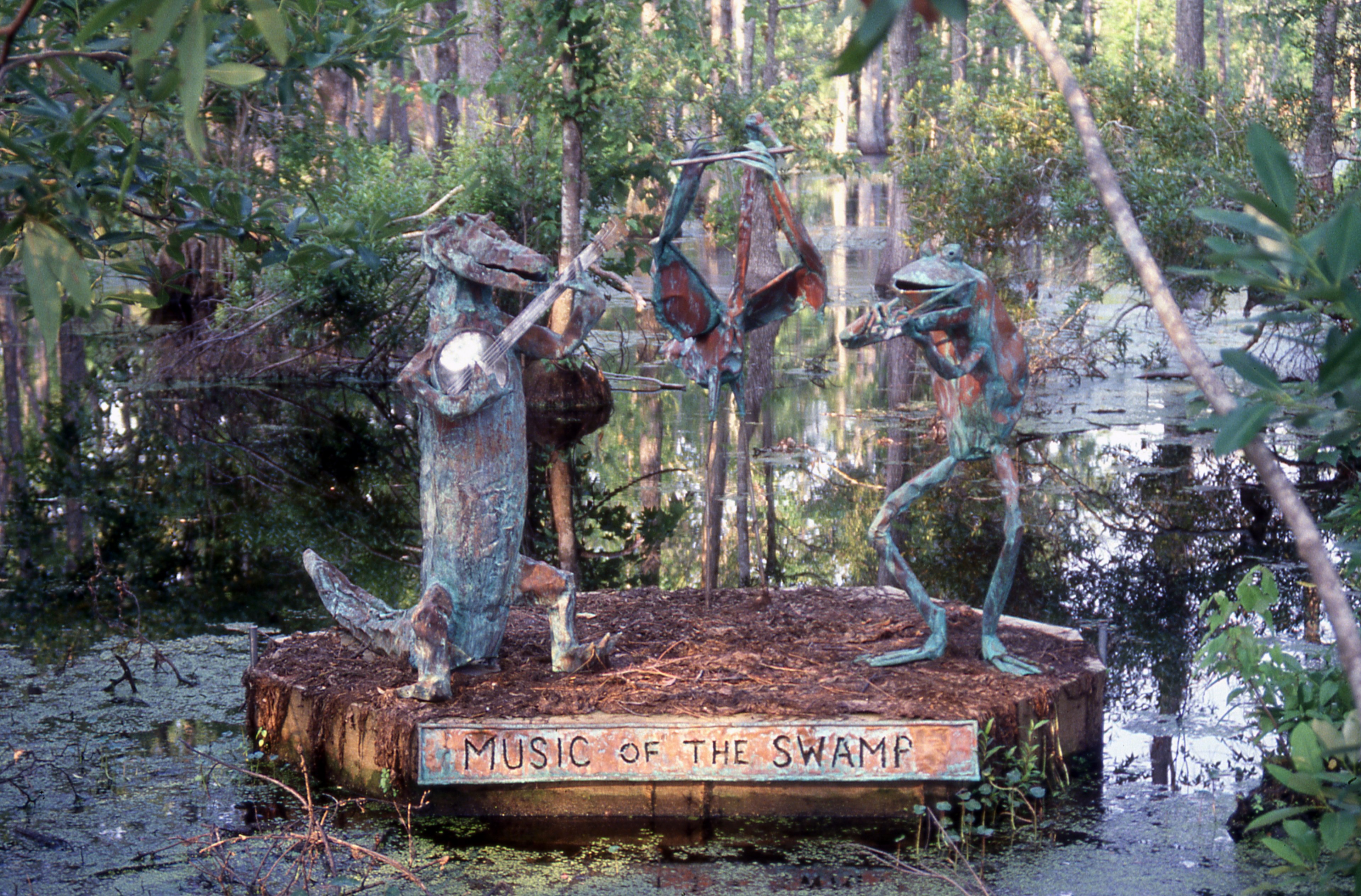 audubon swamp garden near charleston 4k, HD Wallpaper
