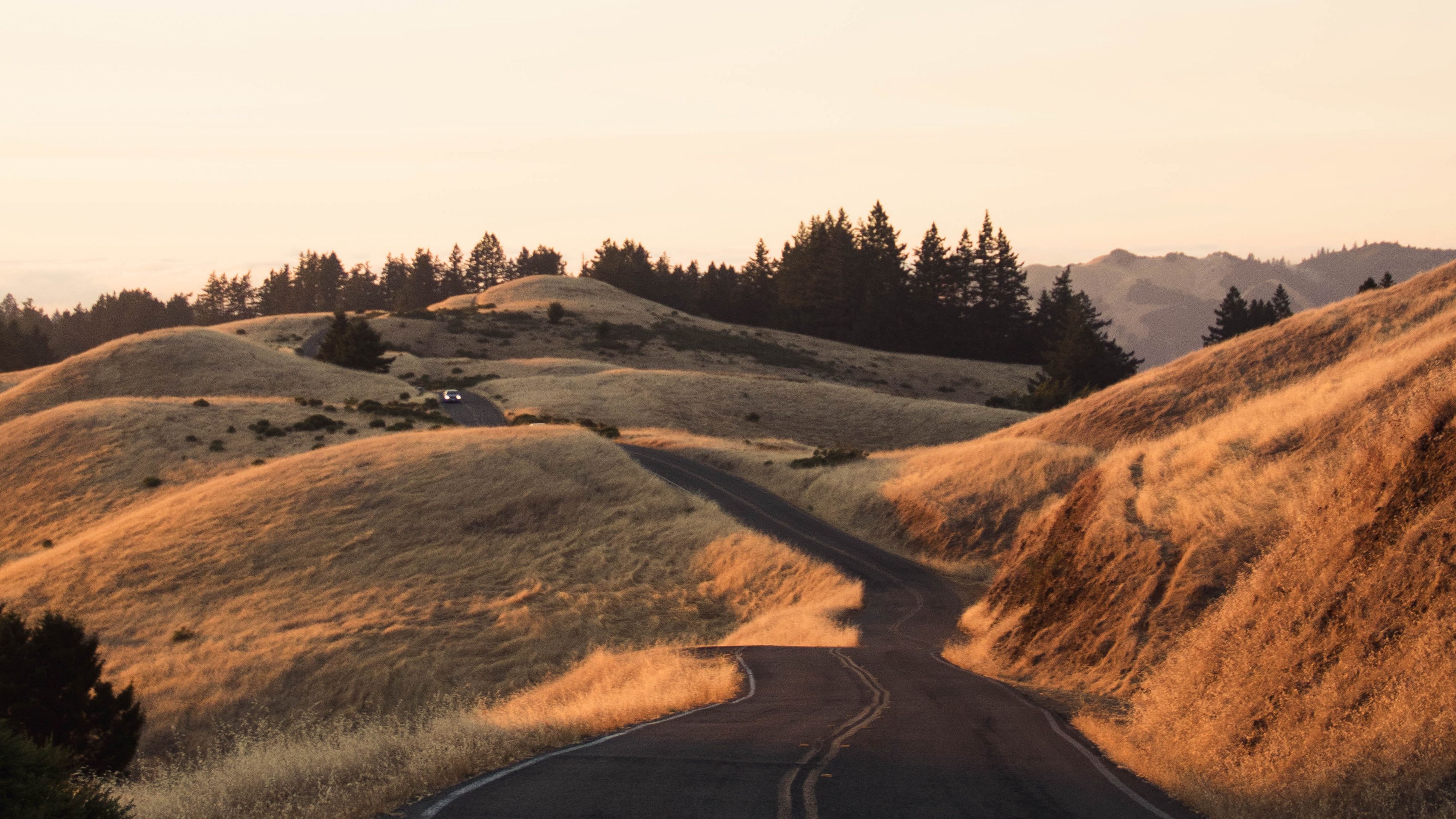road, grass, dry, car, 4k, HD Wallpaper