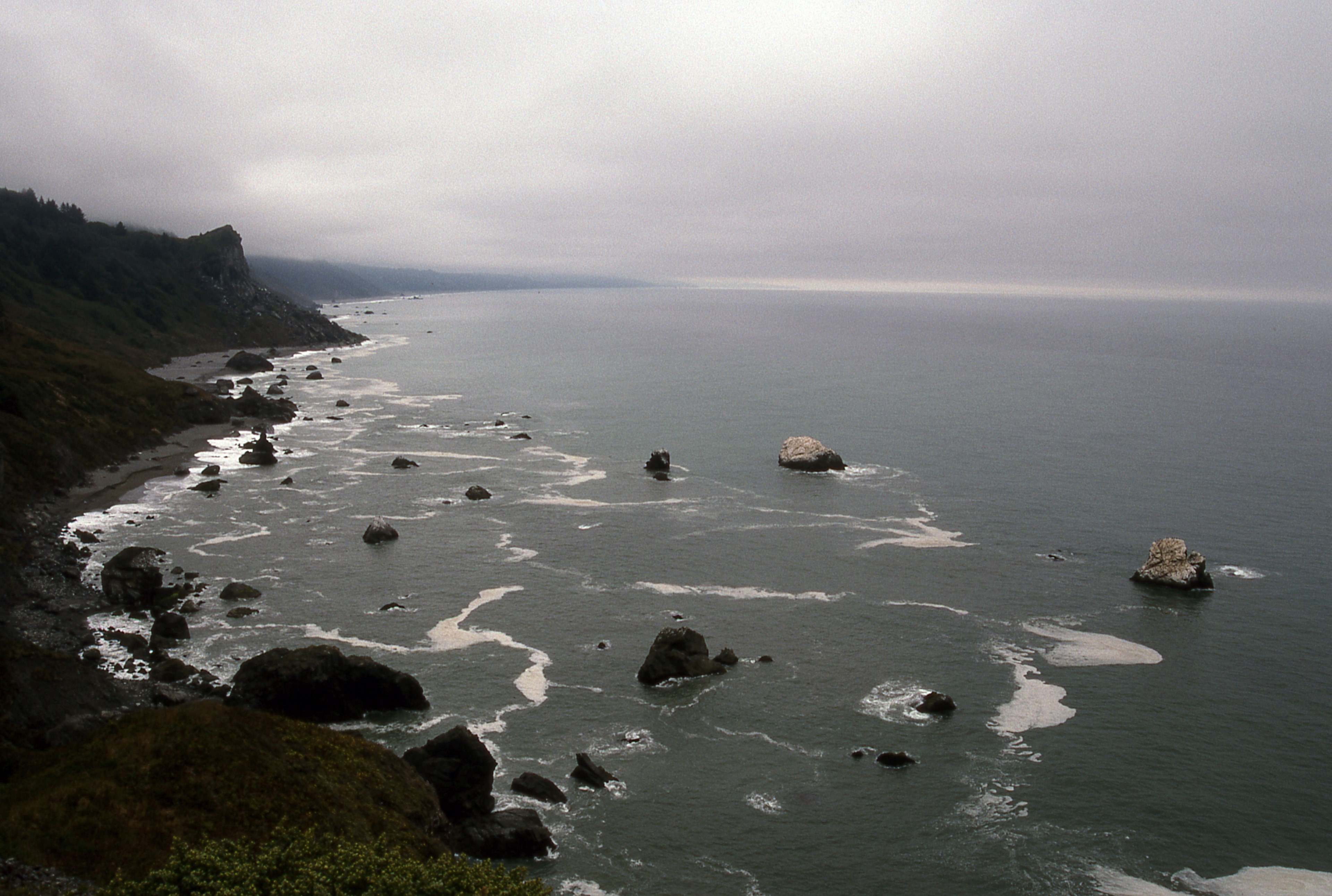 redwood coastal drive 4k, HD Wallpaper