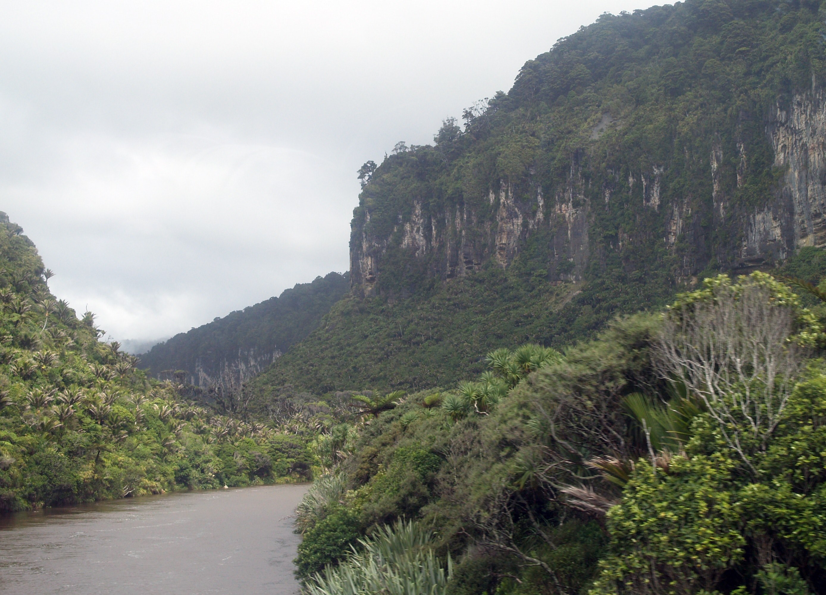 new zealands rugged west coast 4k, HD Wallpaper