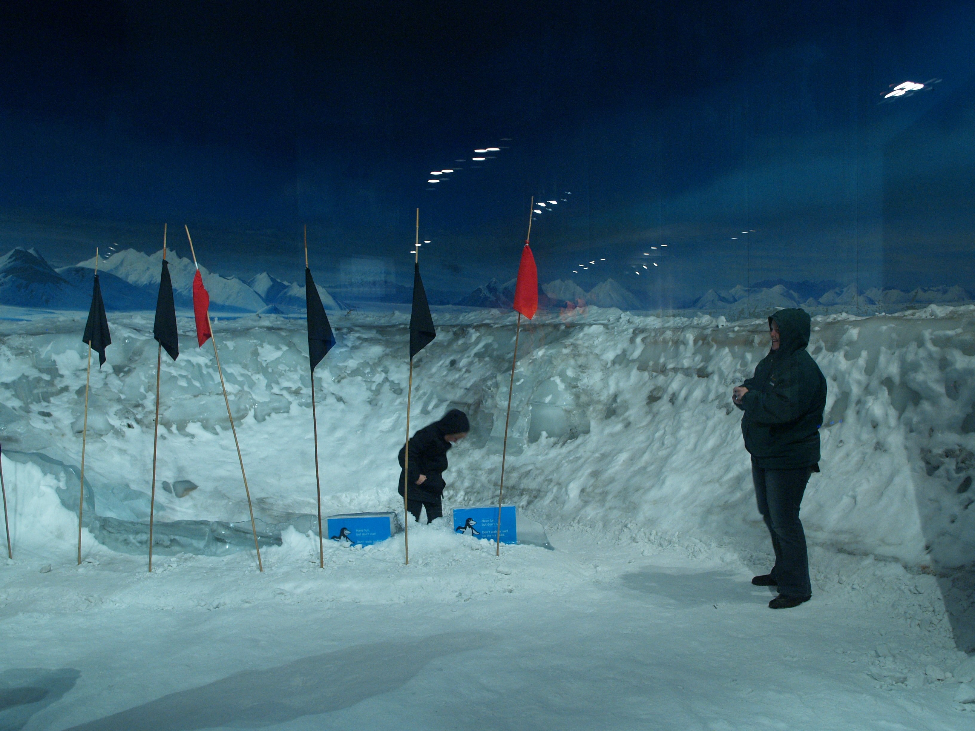 antarctic centre 4k, HD Wallpaper