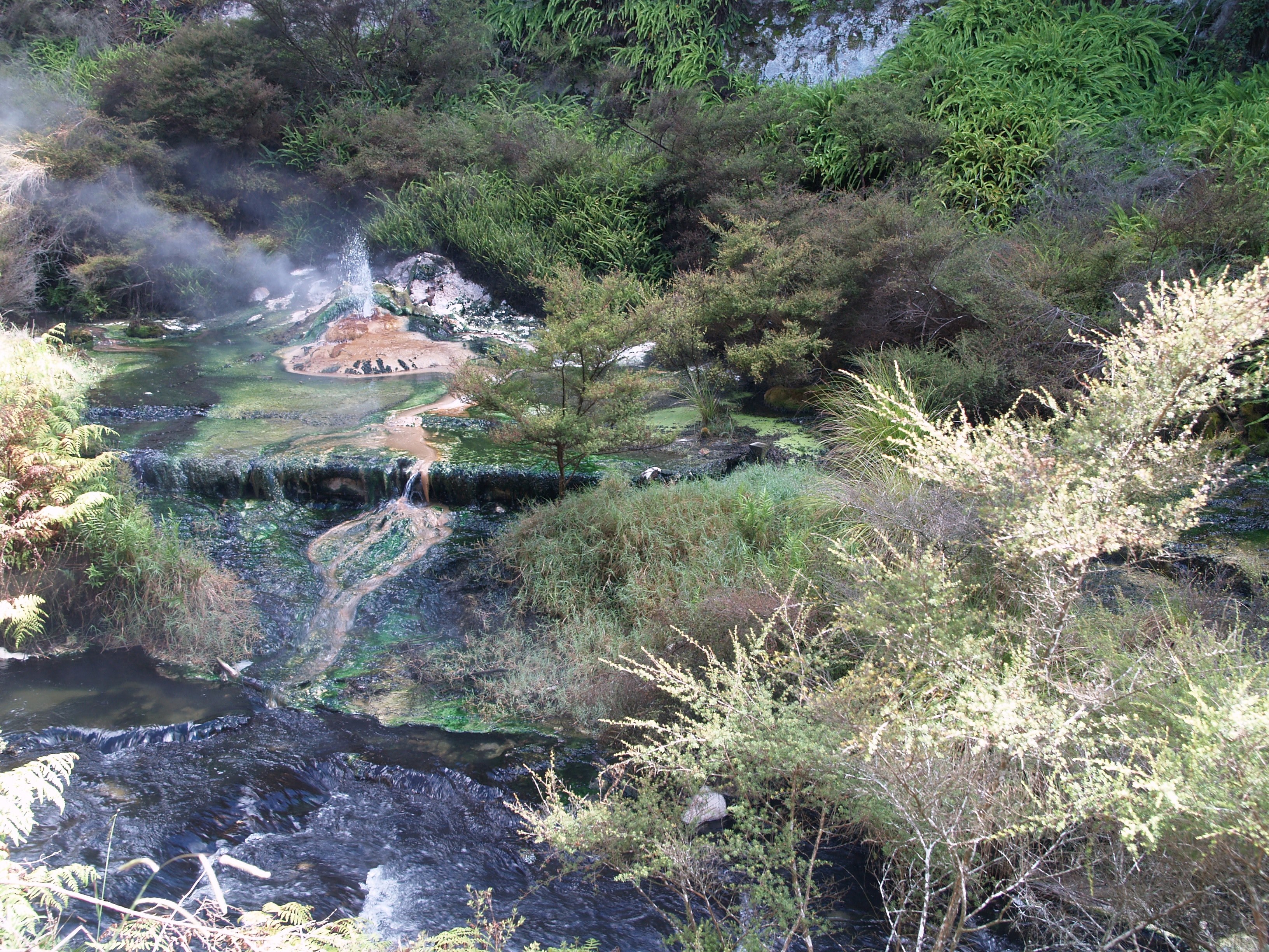 waimangu volcanic valley 4k, HD Wallpaper