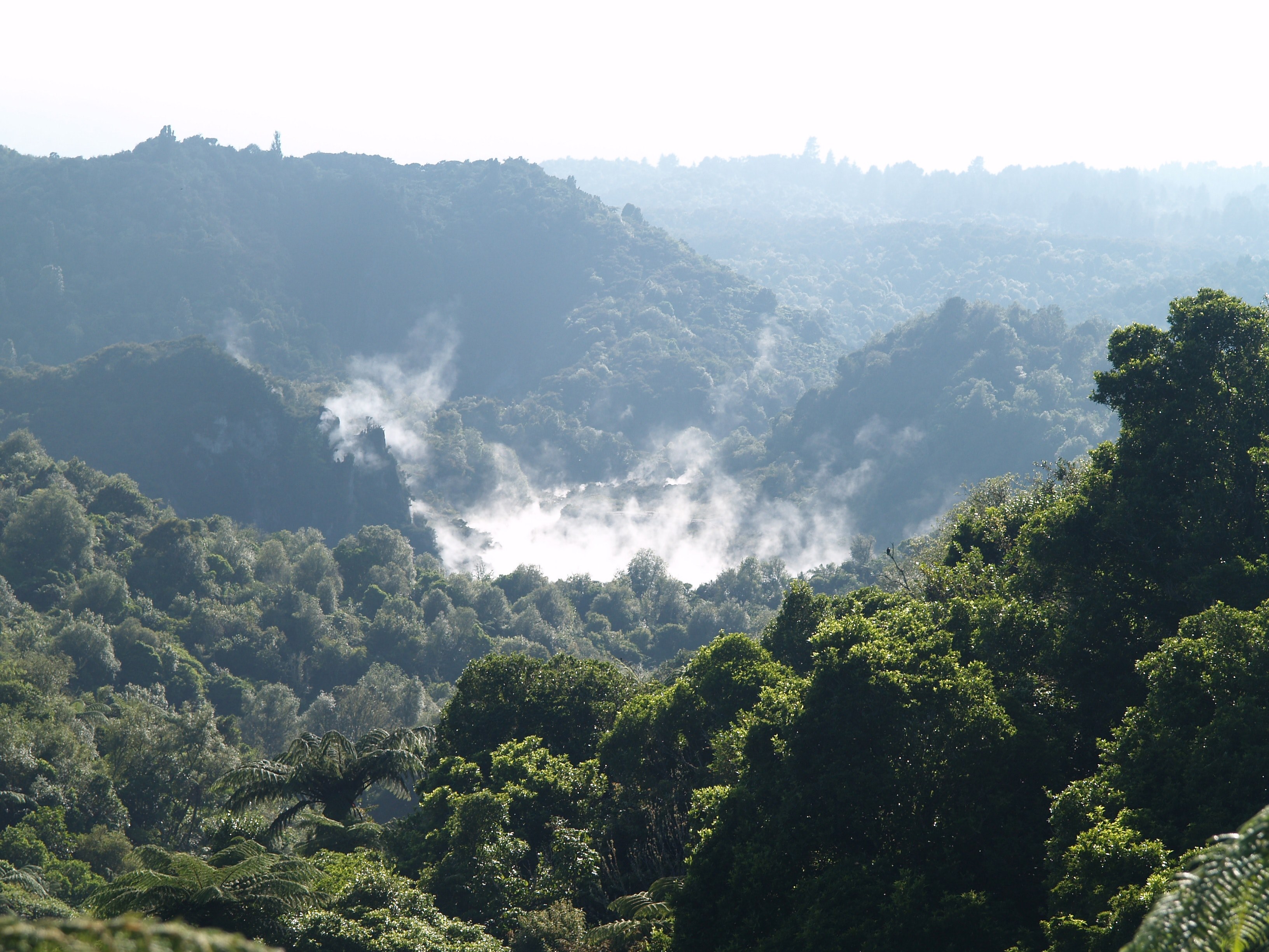 waimangu volcanic valley overlook 4k, HD Wallpaper