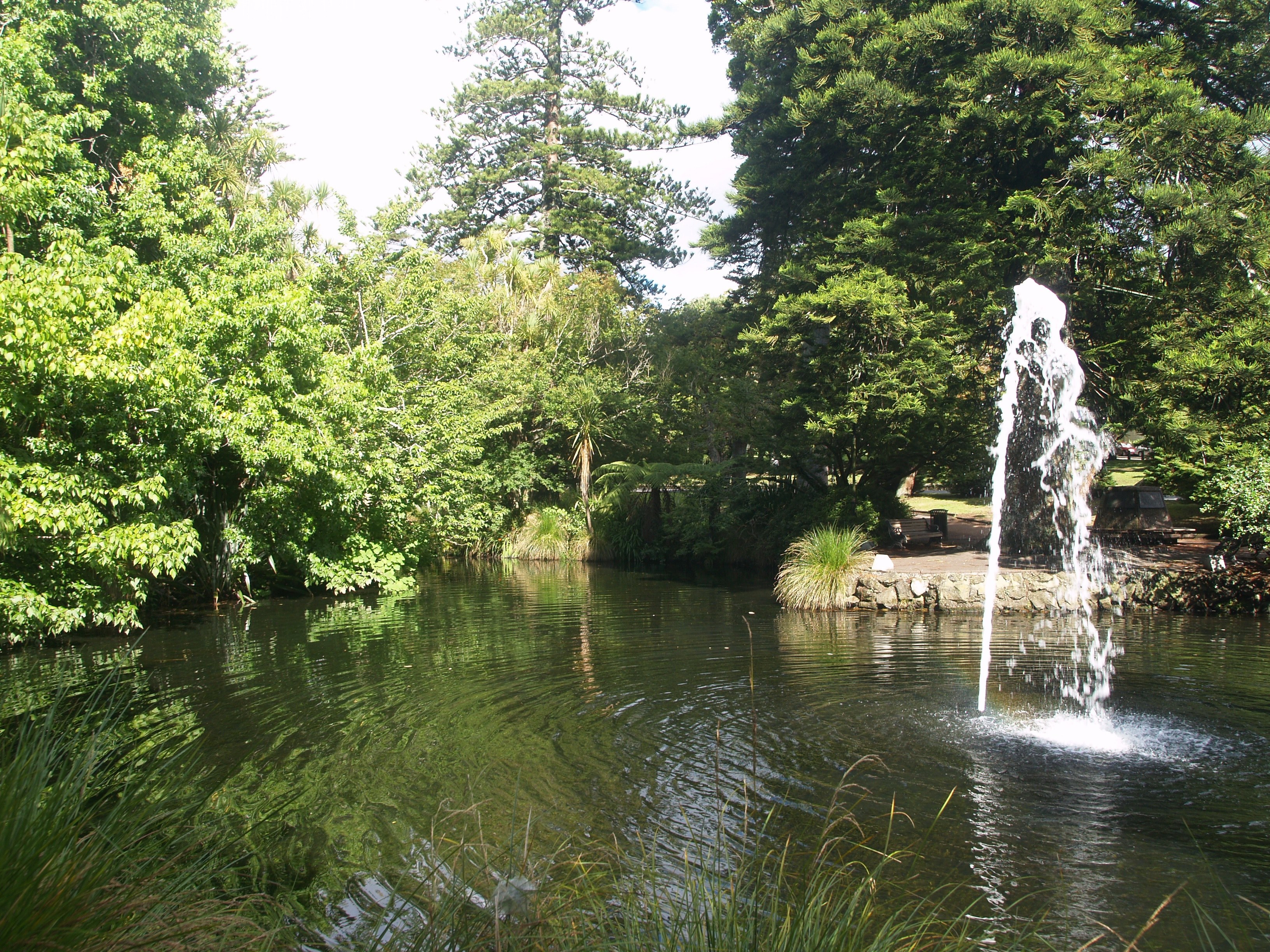 domain fountain in auckland 4k, HD Wallpaper