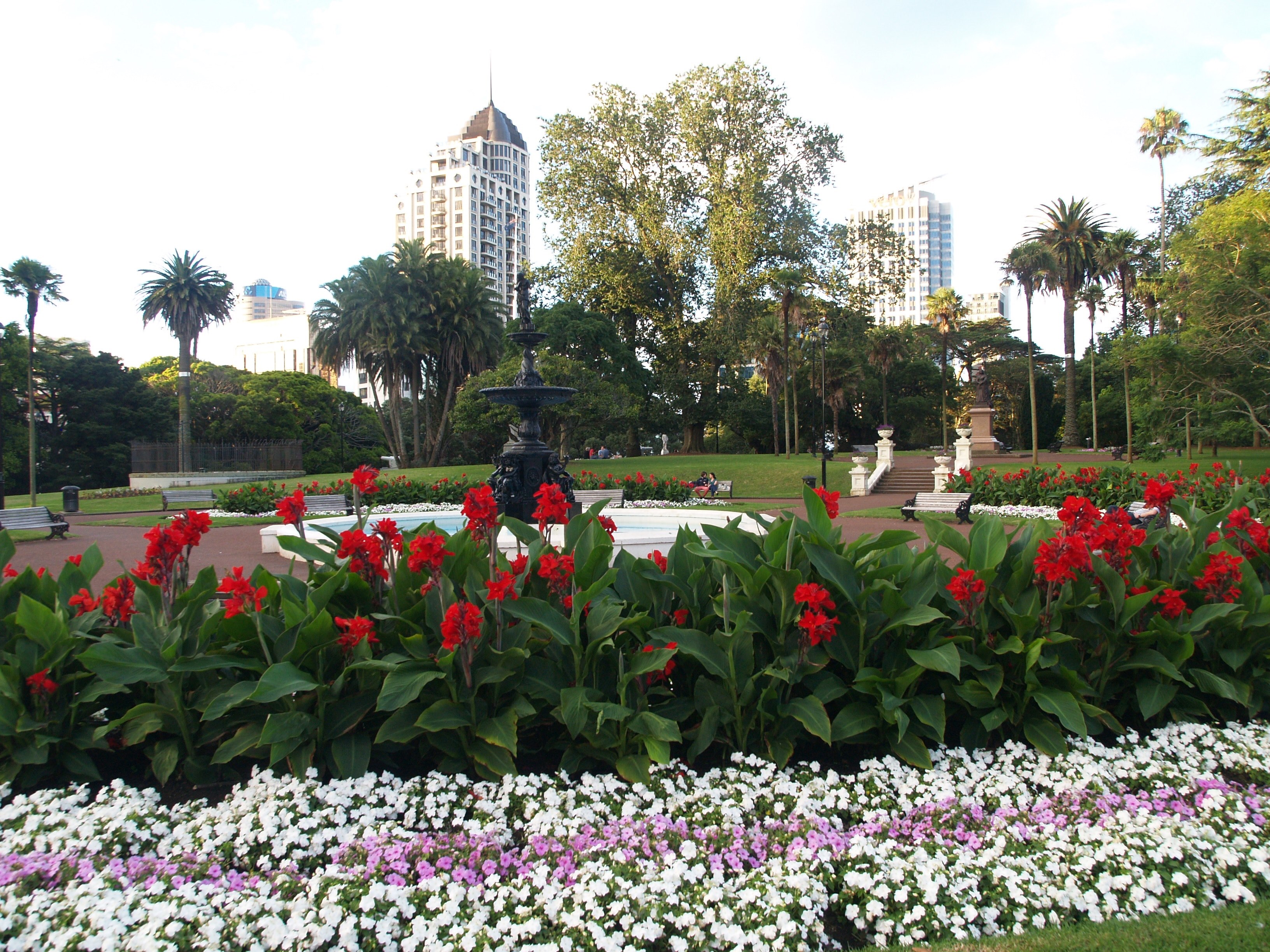 albert park in auckland 4k, HD Wallpaper
