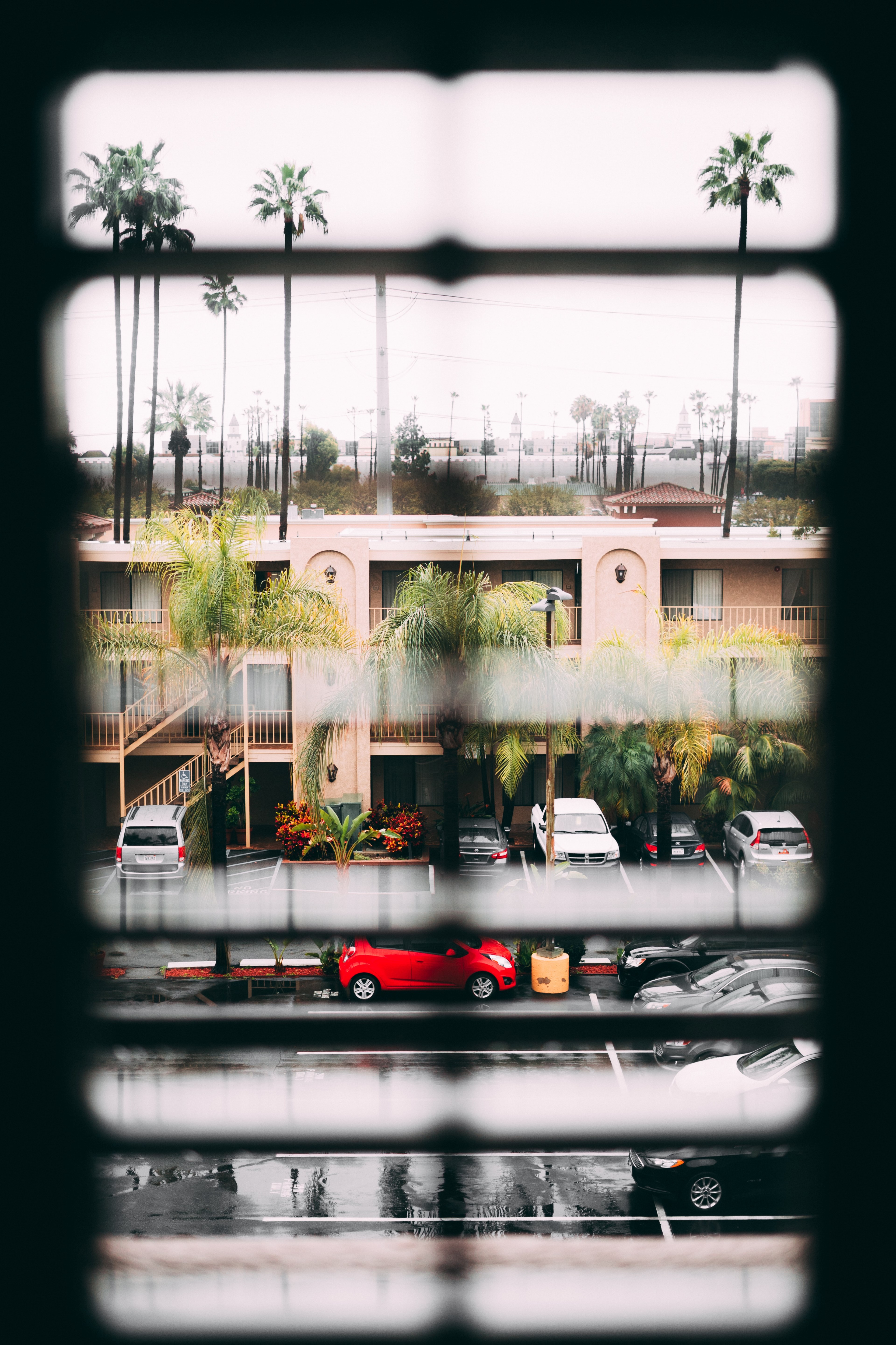 view through the window blinds on the parking lot palm trees and two story residential building, view on the suburb through the window blinds 4k, Phone HD Wallpaper