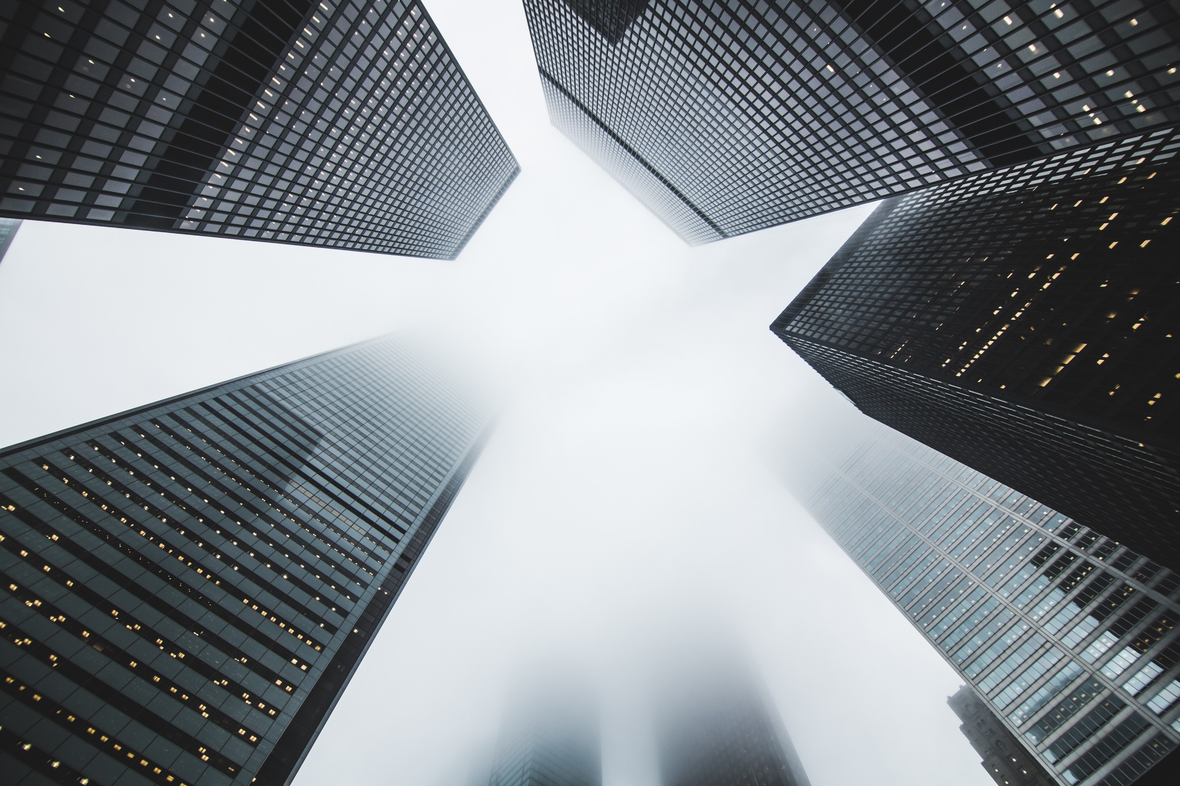 a low angle shot of dark skyscrapers on a foggy day, foggy skyscrapers 4k, HD Wallpaper