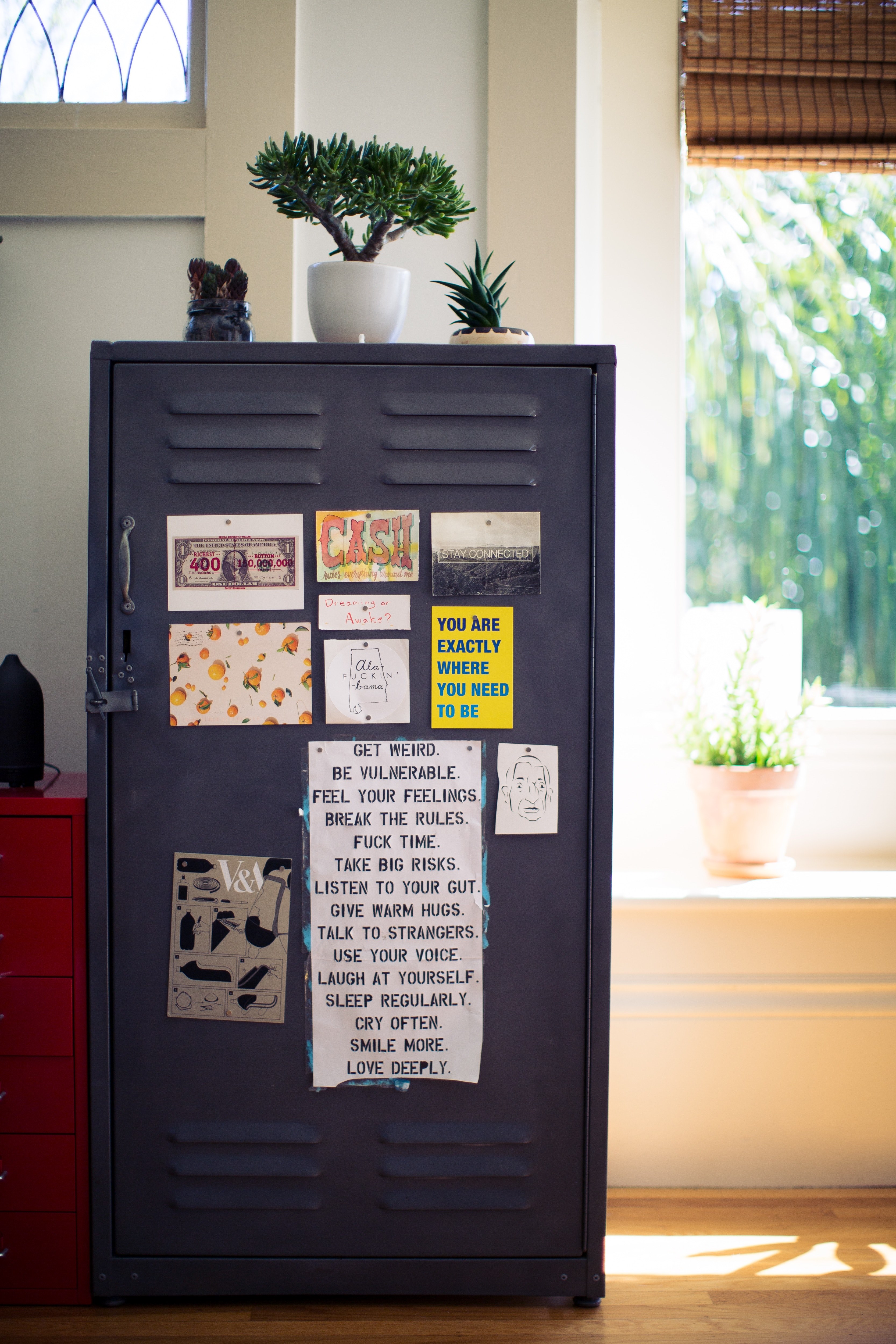 interior design with gray metal locker covered in motivational signs near potted plants and a sunny window, metal locker with signs 4k, Phone HD Wallpaper