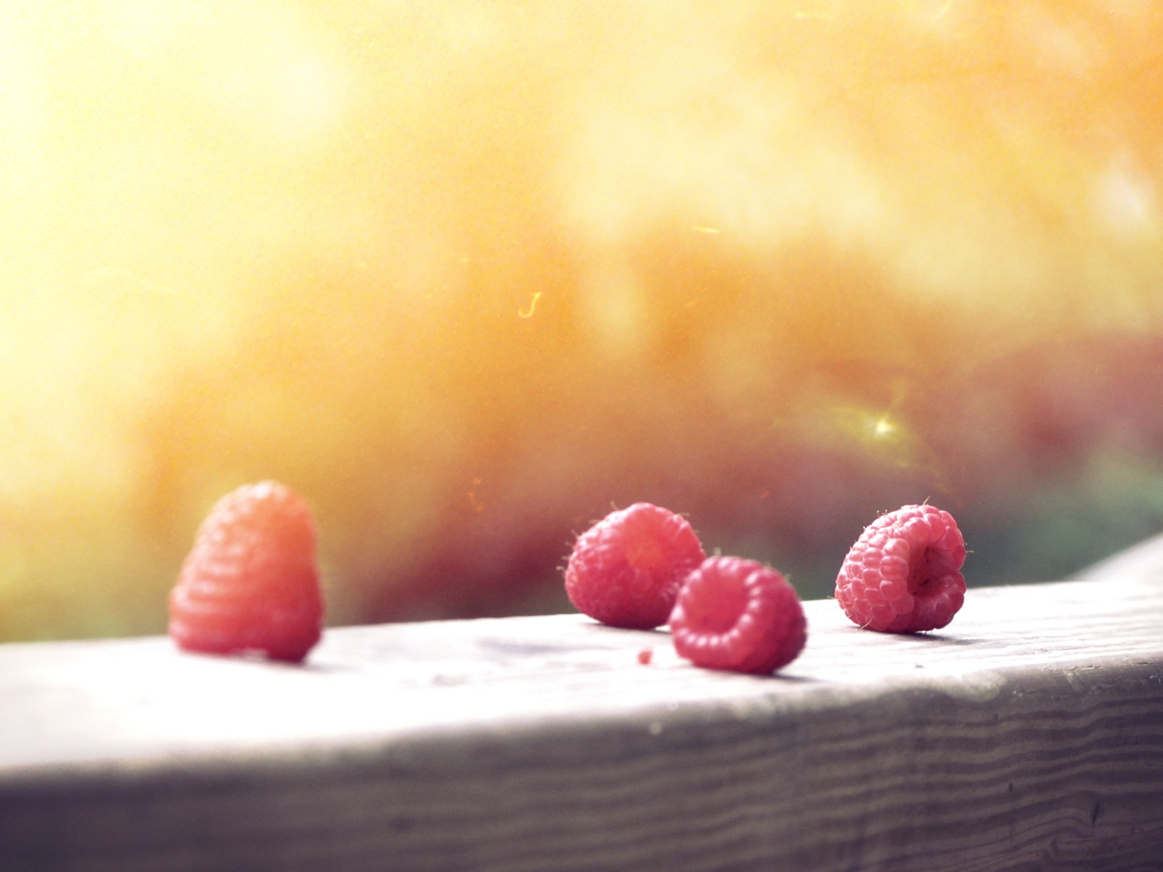 raspberry fruit berry and warm 4k, HD Wallpaper
