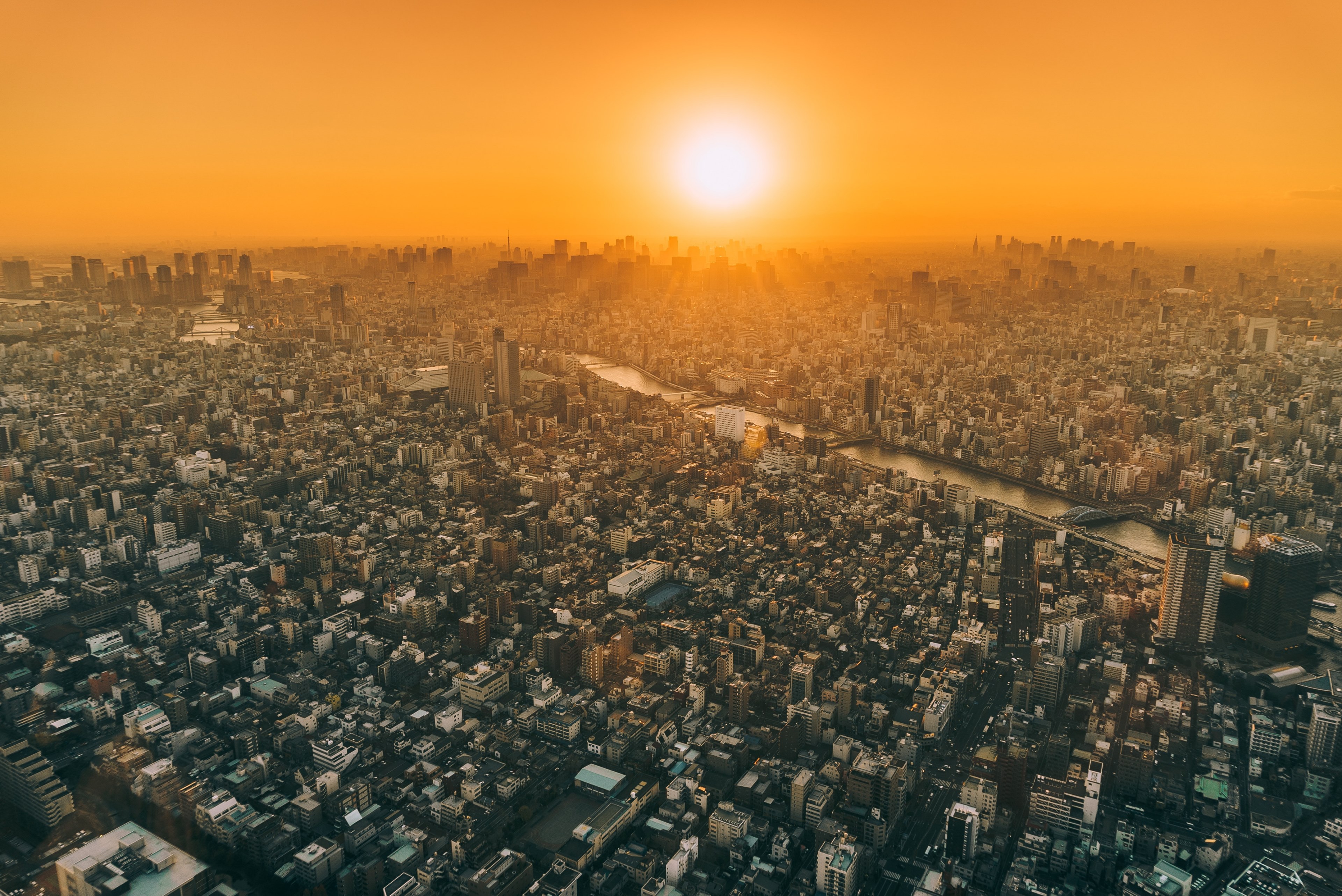 an orange sunset covers the buildings and skyscrapers of tokyo japan turning the skies into a bright orange, sunset over tokyo 4k, HD Wallpaper