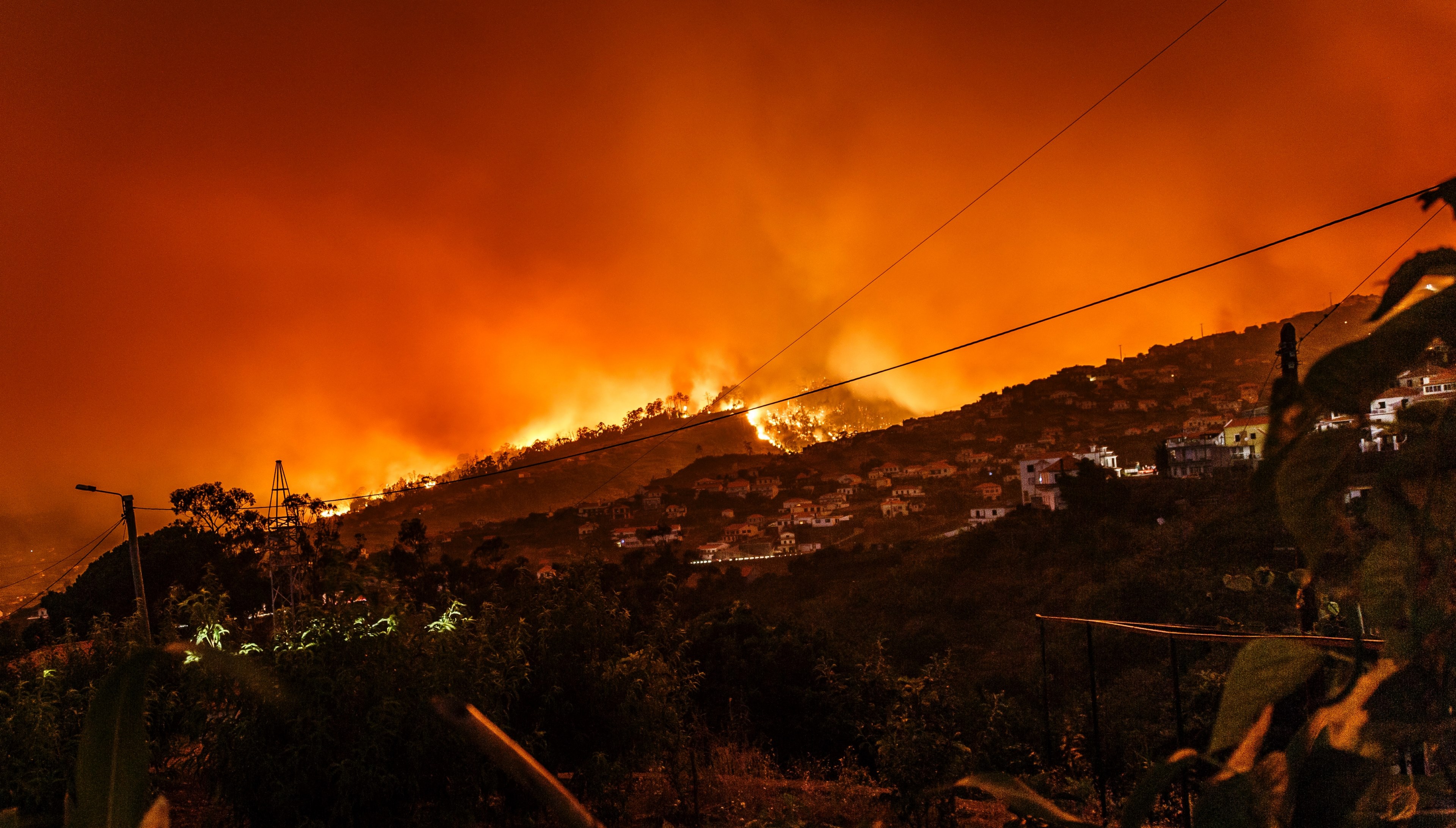 forest fire creates an orange silhouette around a hill in estreito da calheta during evening, fire orange danger and hill 4k, HD Wallpaper