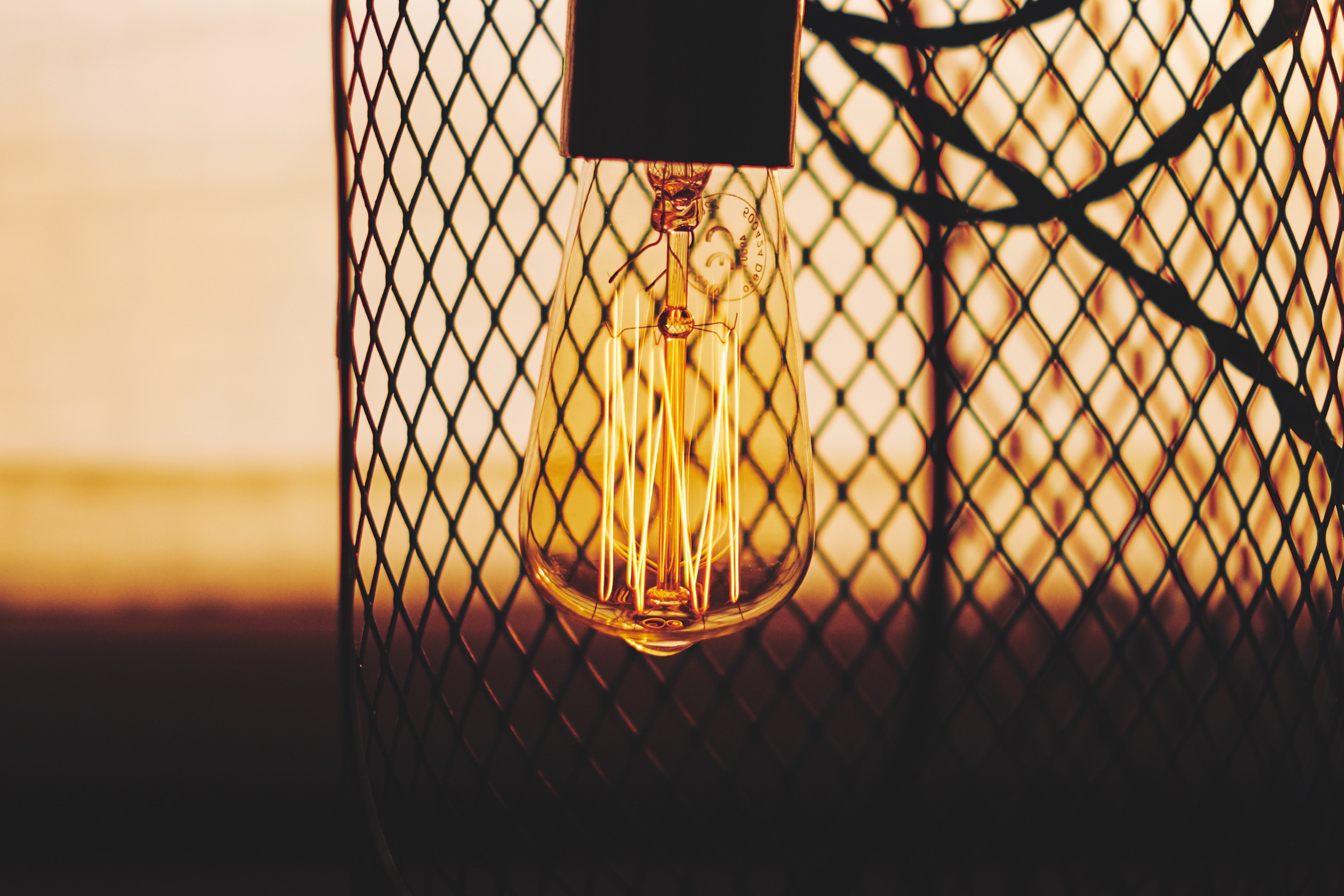 close up of an incandescent light bulb outdoors during sunset, light bulb at sunset 4k, HD Wallpaper