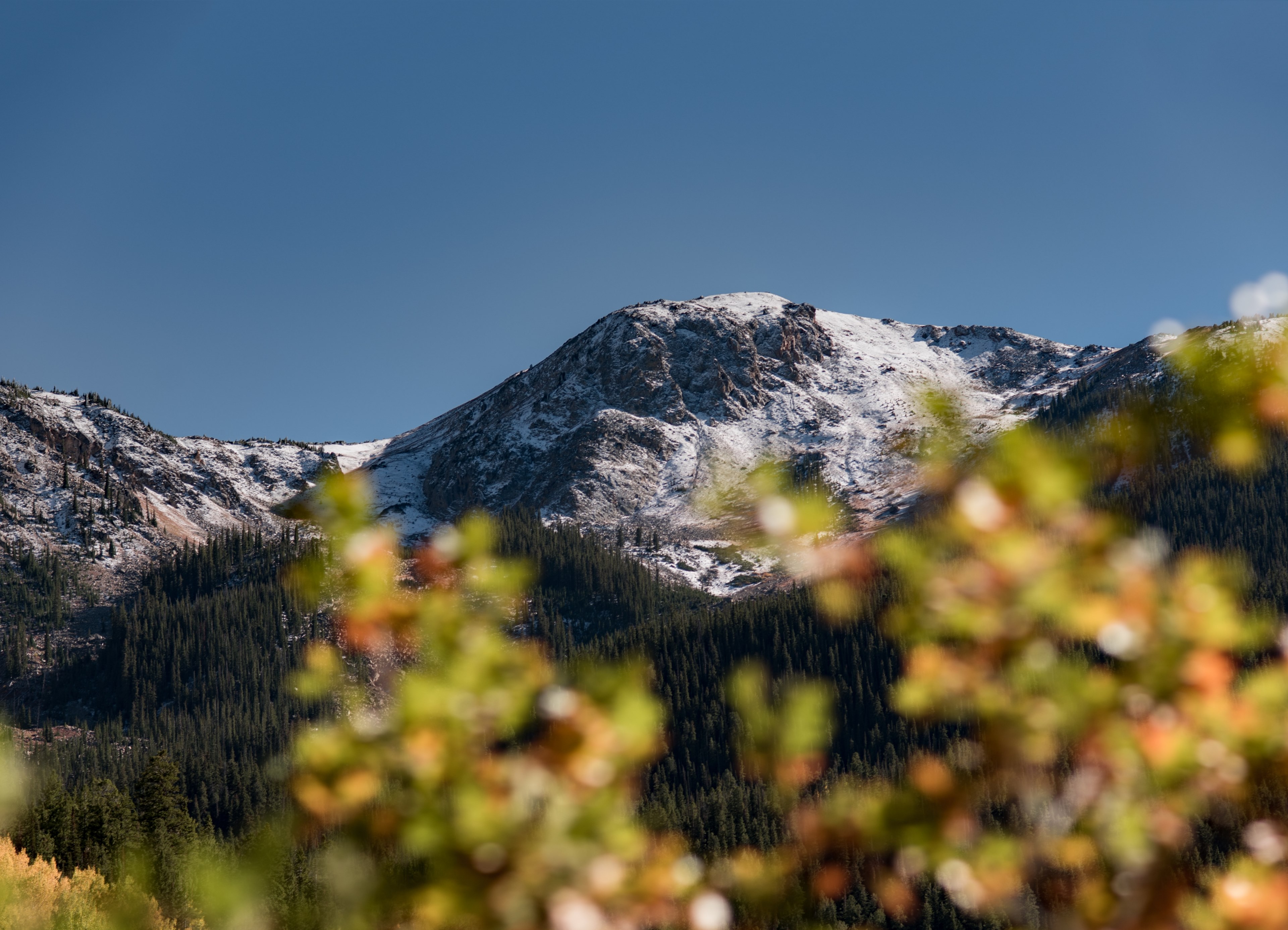 autumn branches partly obscure the view on a snowy ridge in aspen, autumn in aspen mountains 4k, HD Wallpaper