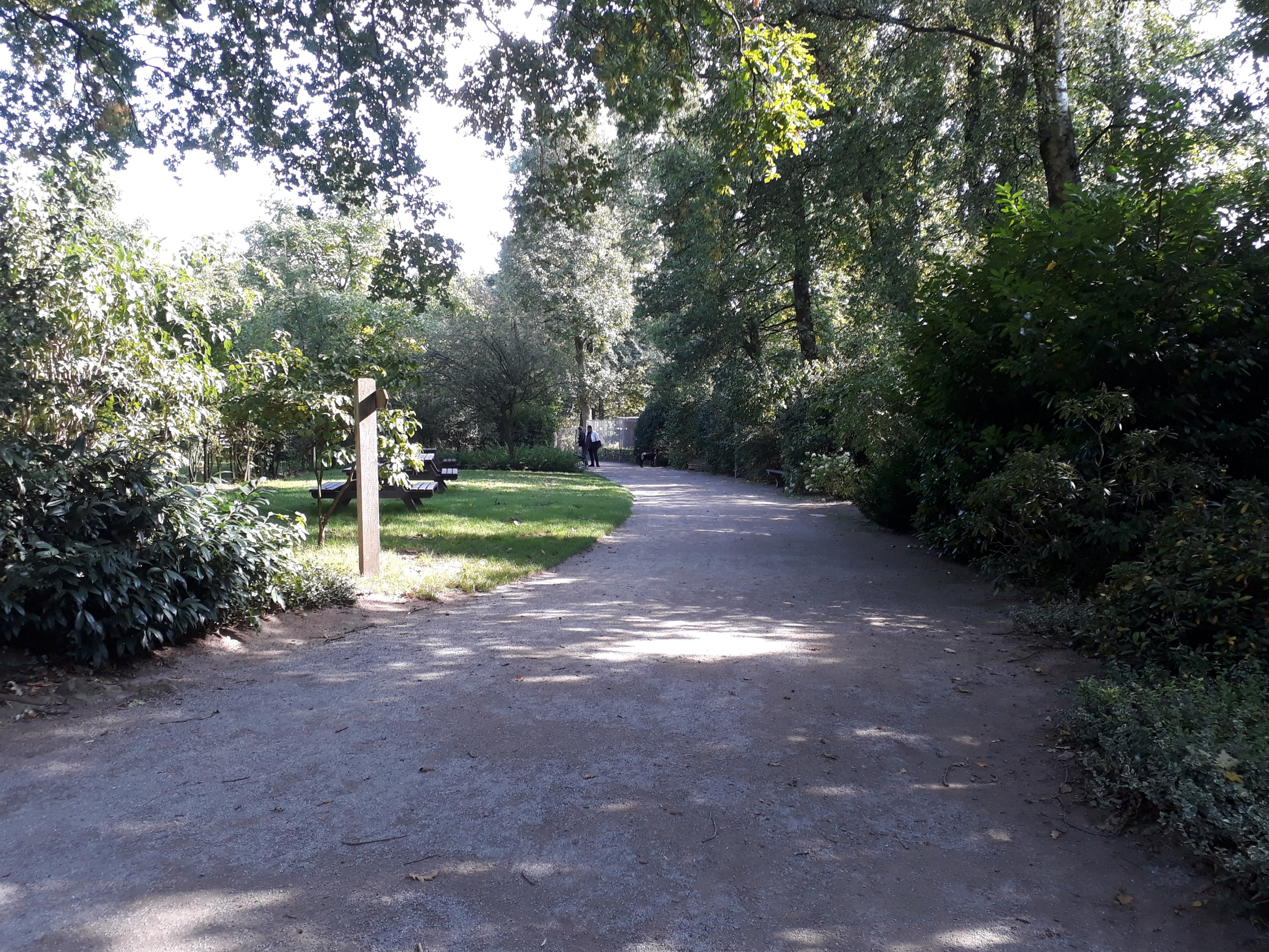 der park ldt zum gemtlichen spaziergang 4k, HD Wallpaper