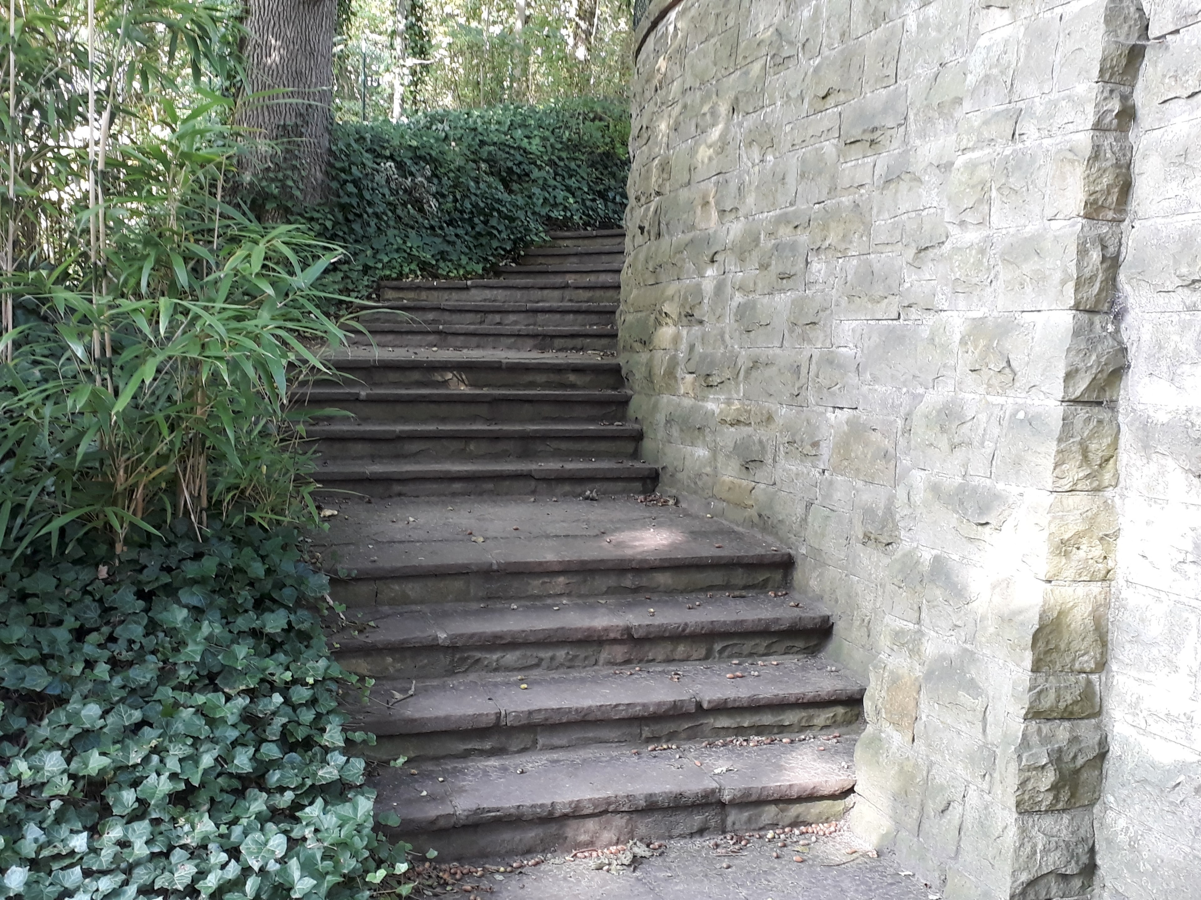 unter weiter geht die tour im stadtpark emsdetten 4k, HD Wallpaper