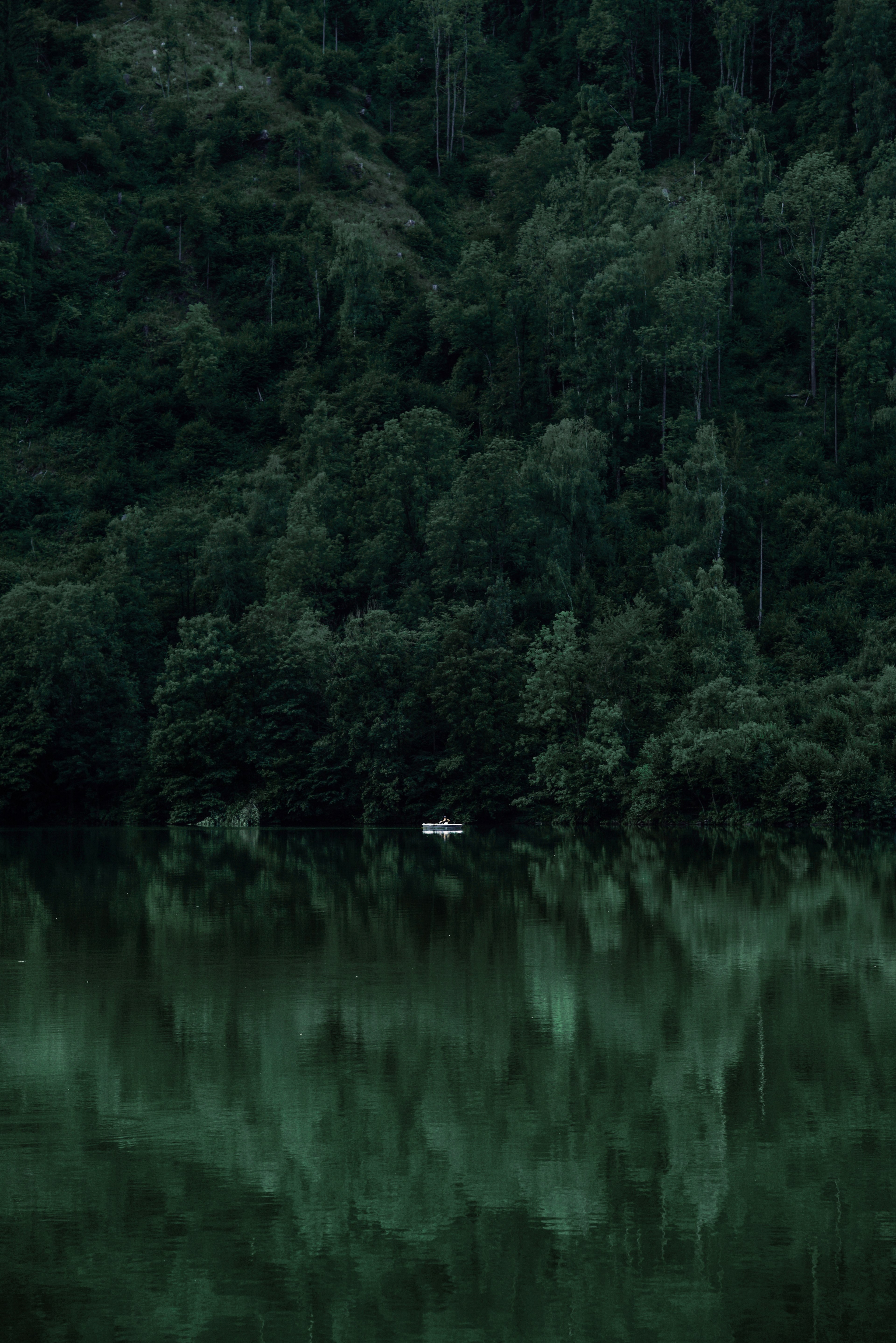 nothing to hide 4k, Phone HD Wallpaper