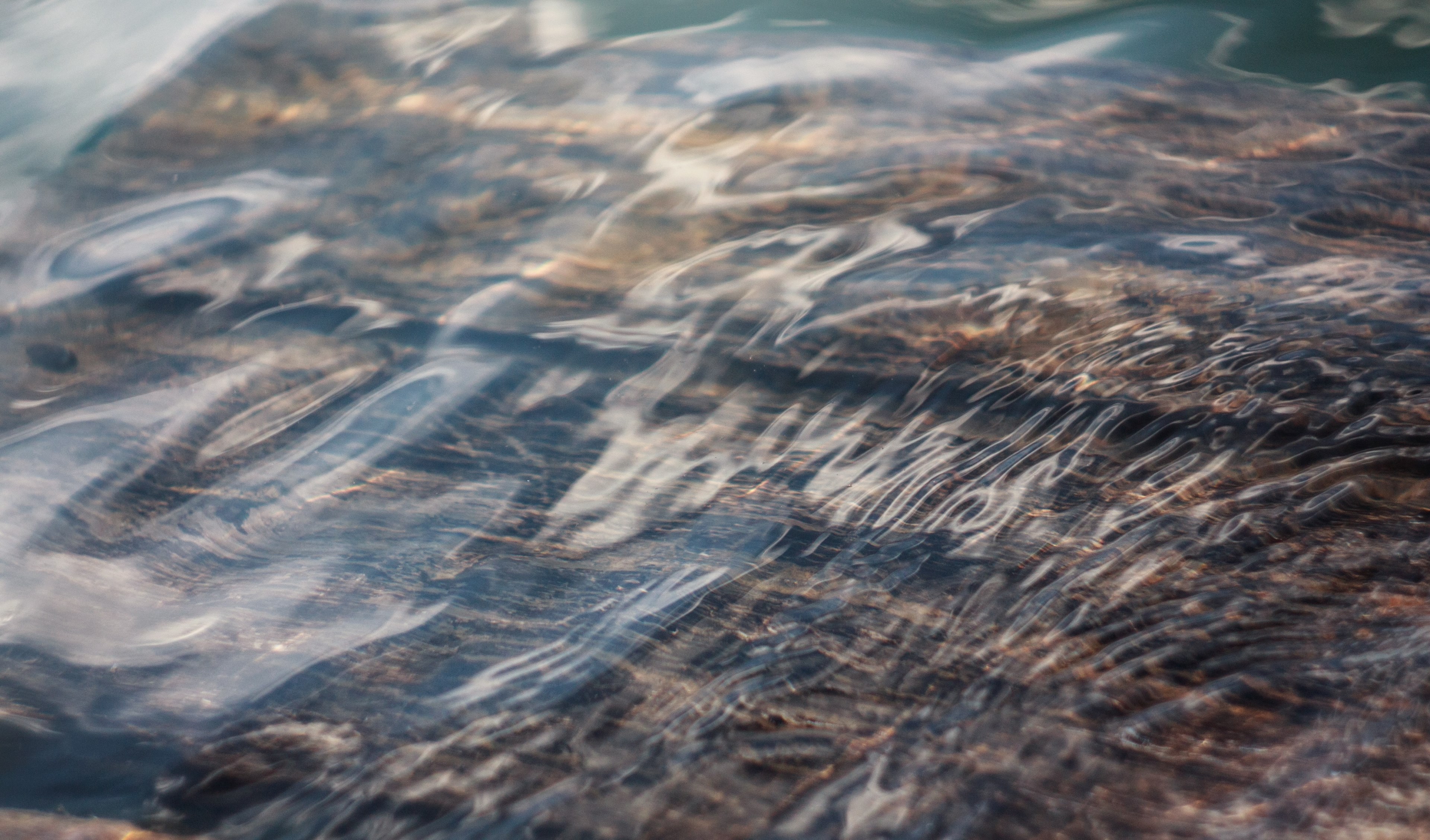 looking into the water at textured wood underneath the surface, submerged wood texture 4k, HD Wallpaper