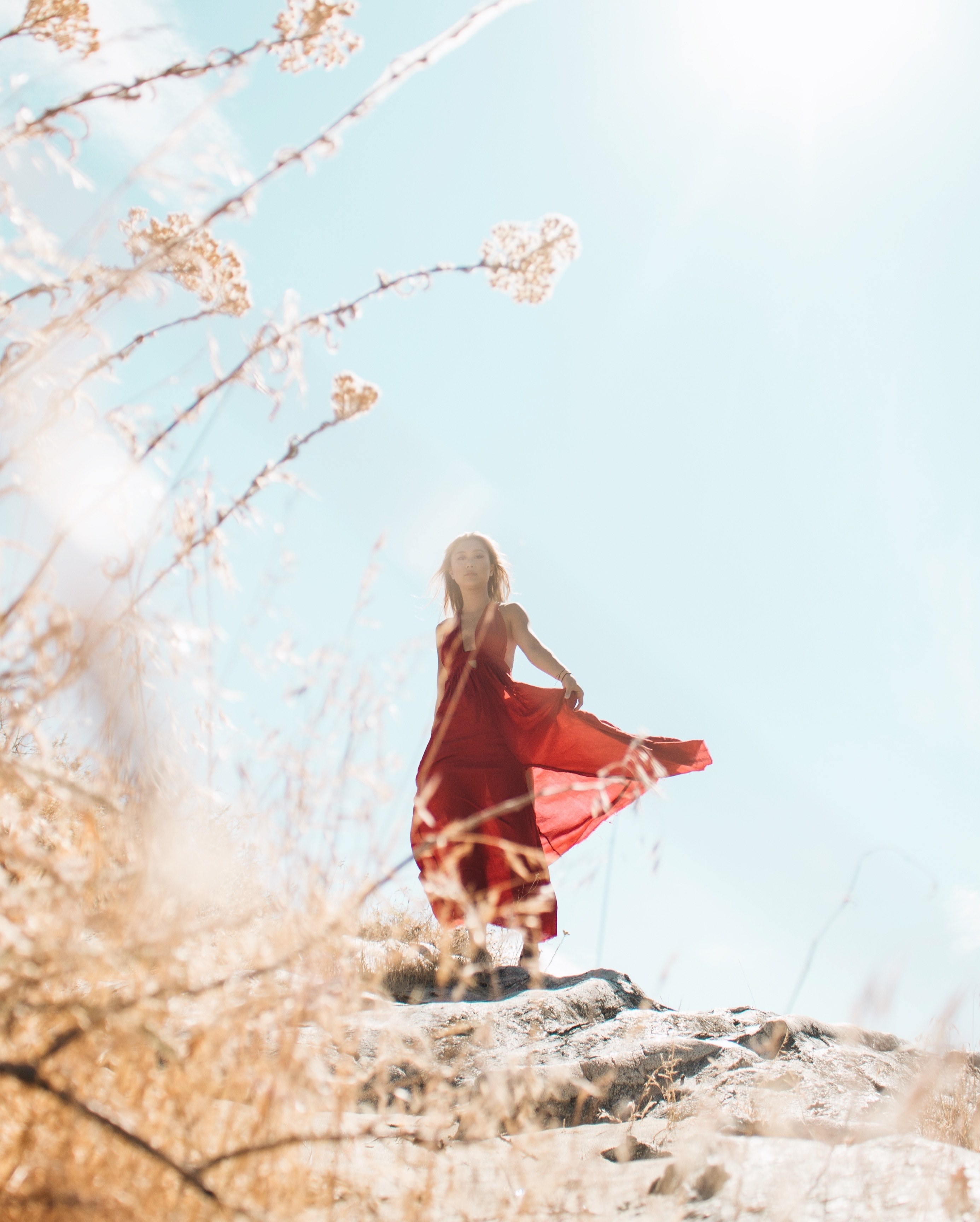 woman female grass and dress hd, 4k, Phone HD Wallpaper