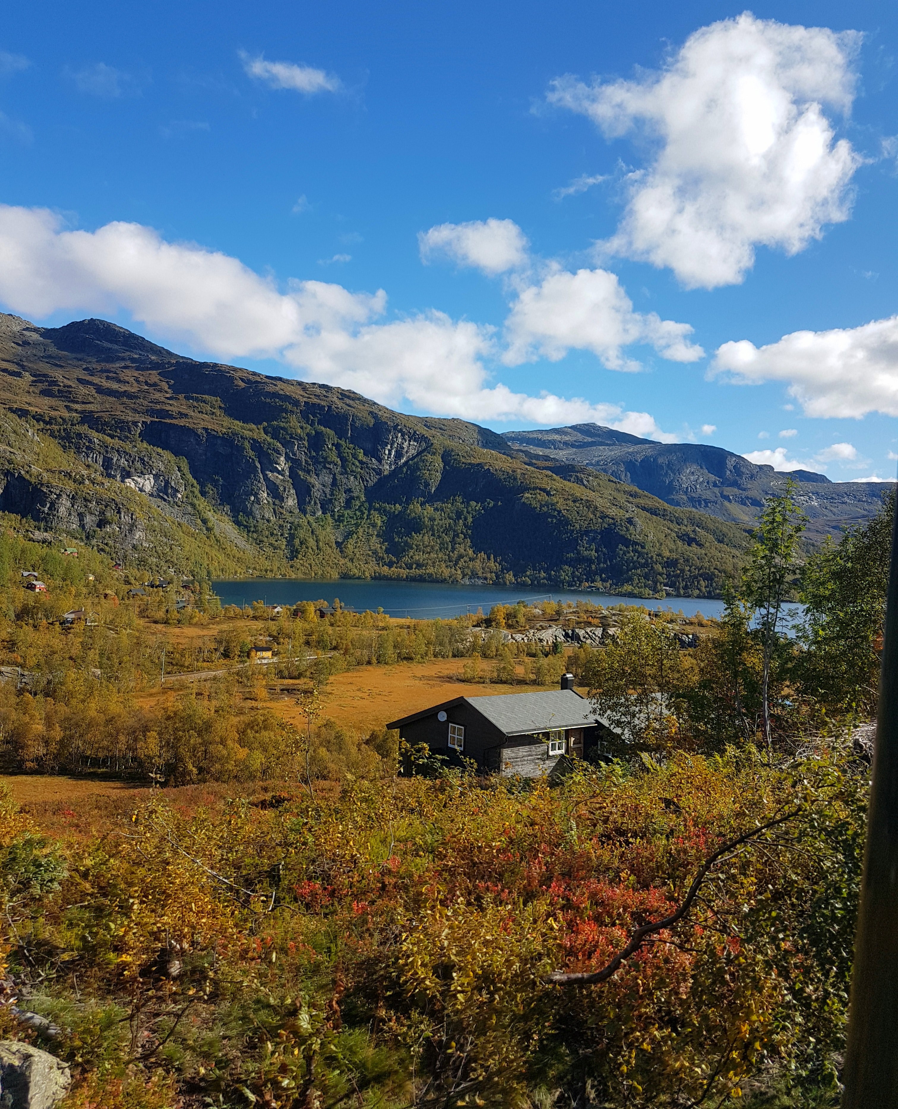 norway autumn views 4k, Phone HD Wallpaper