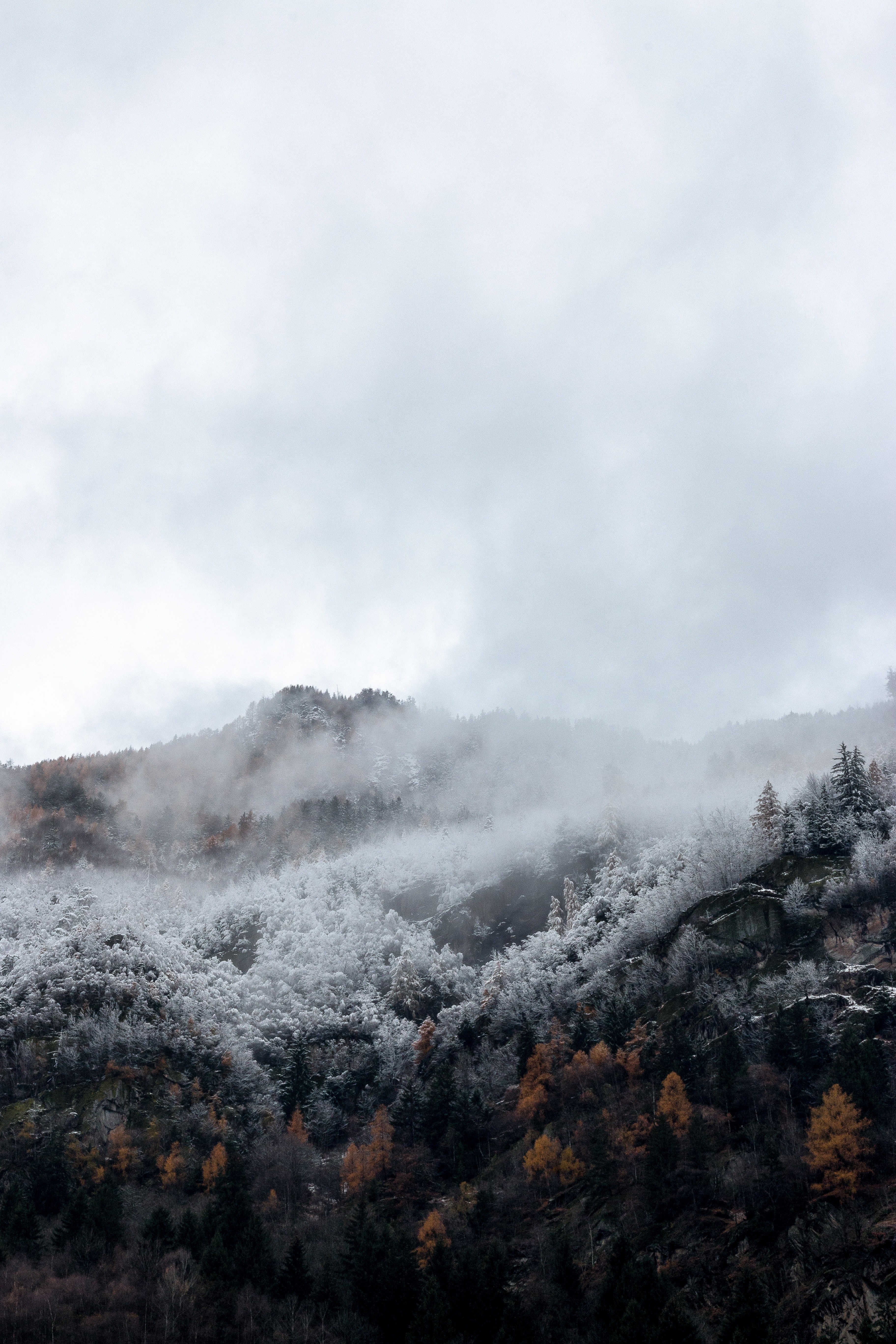 mountain snow mist and fog hd, 4k, Phone HD Wallpaper