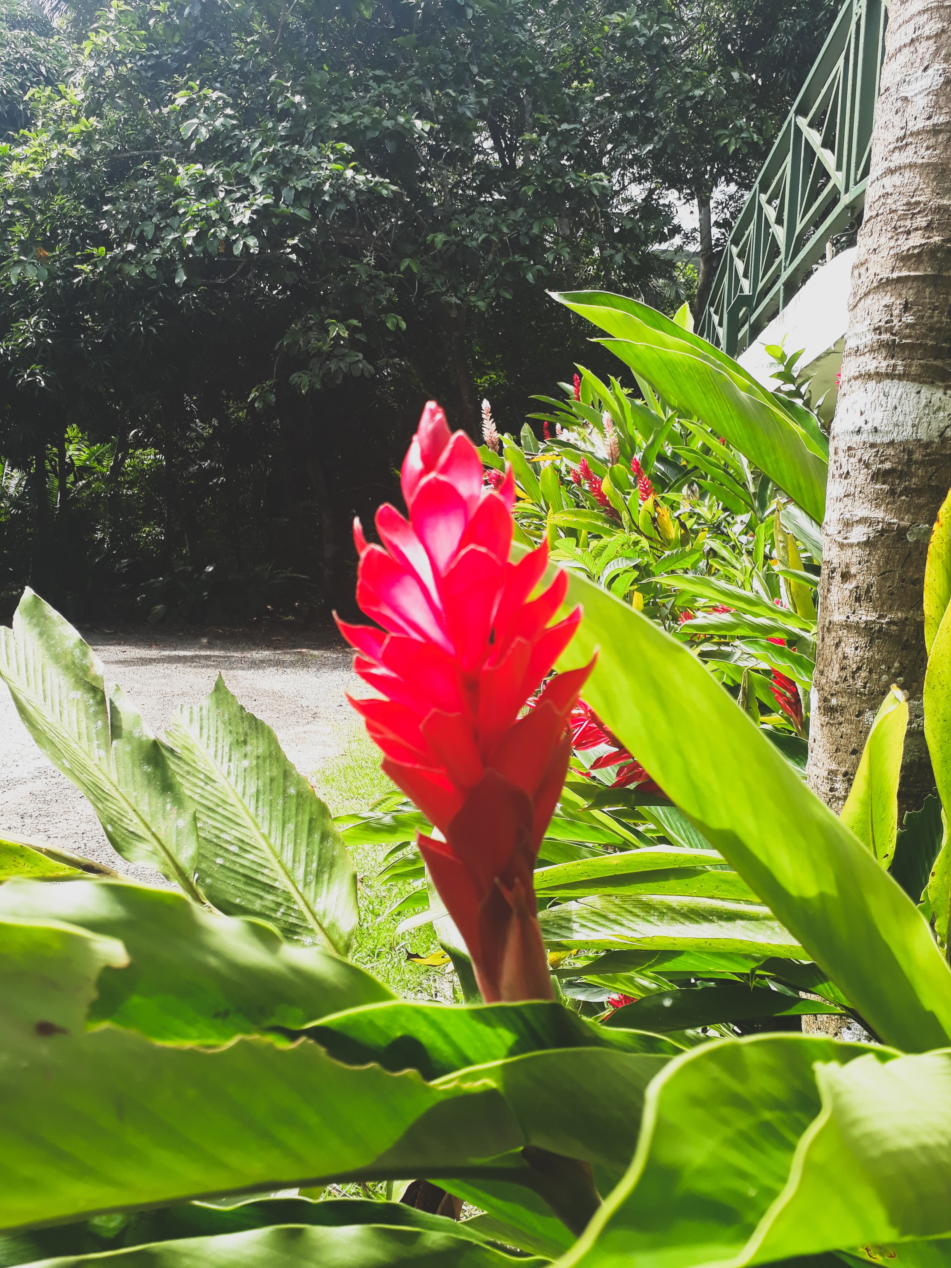 panama 4k, Phone HD Wallpaper
