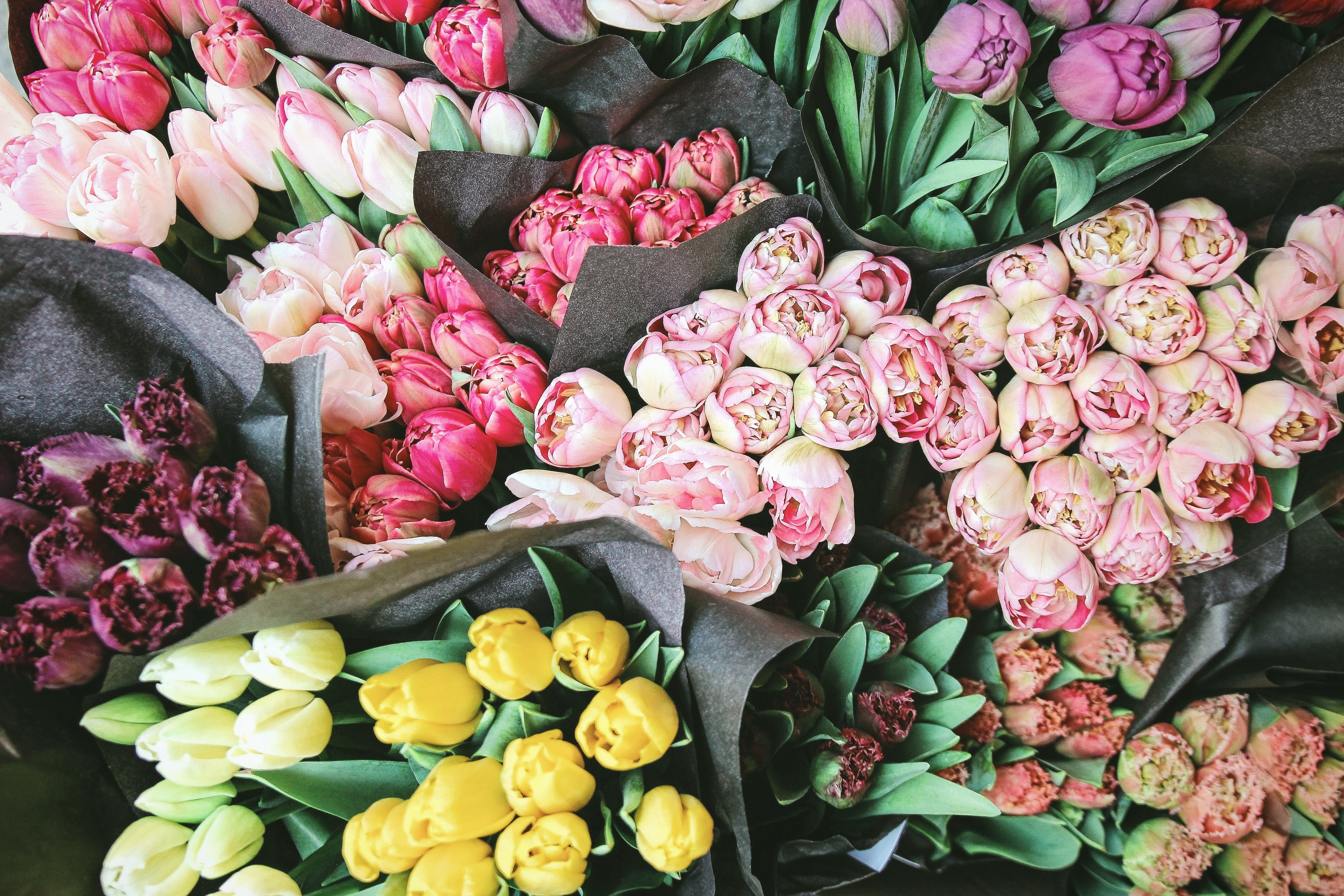 an overhead shot of many colored bouquets of tulips squeezed close together, tulips in the flowermarket 4k, HD Wallpaper
