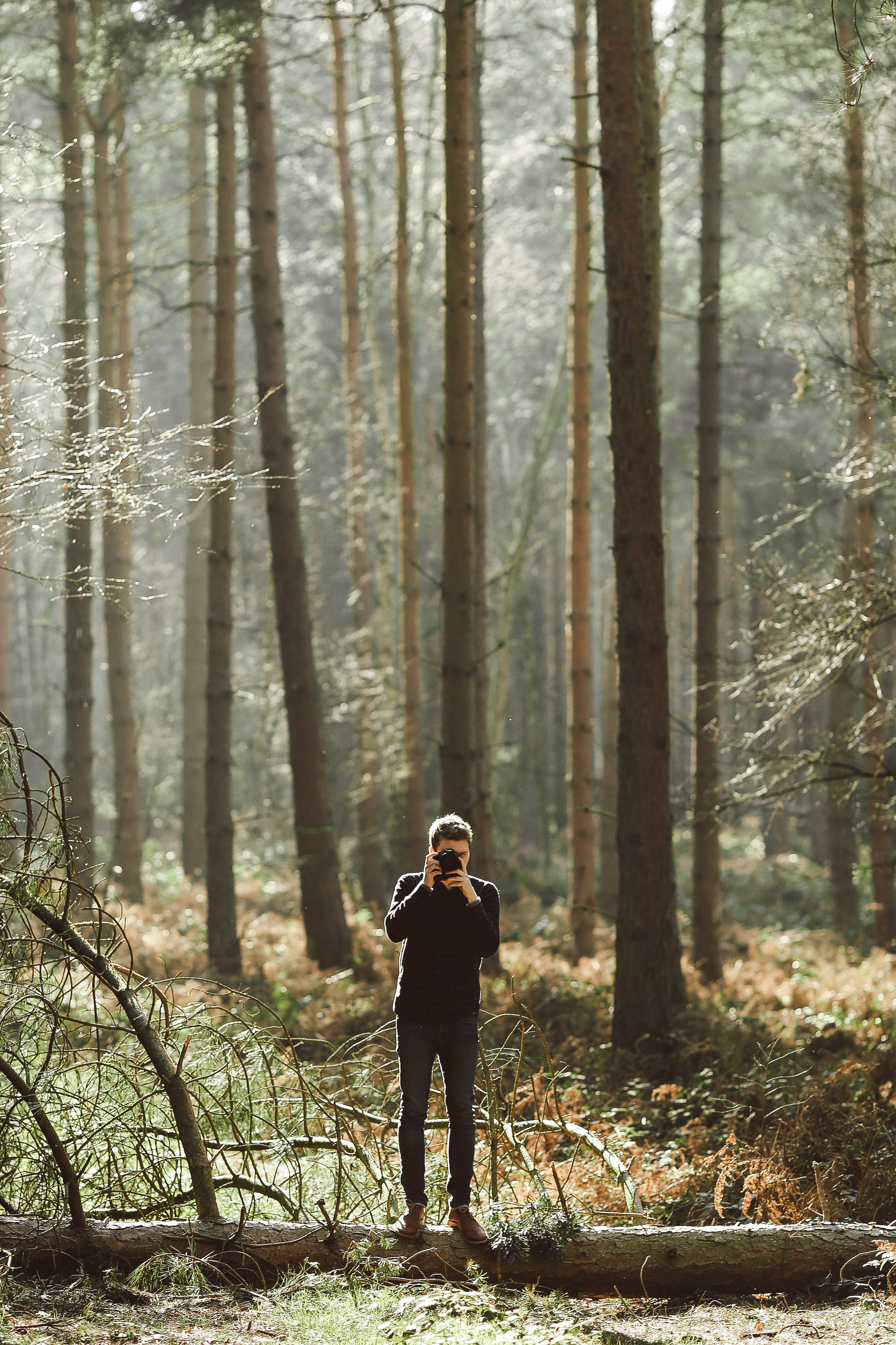 a photographer taking a picture in a forest, forest photographs 4k, Phone HD Wallpaper
