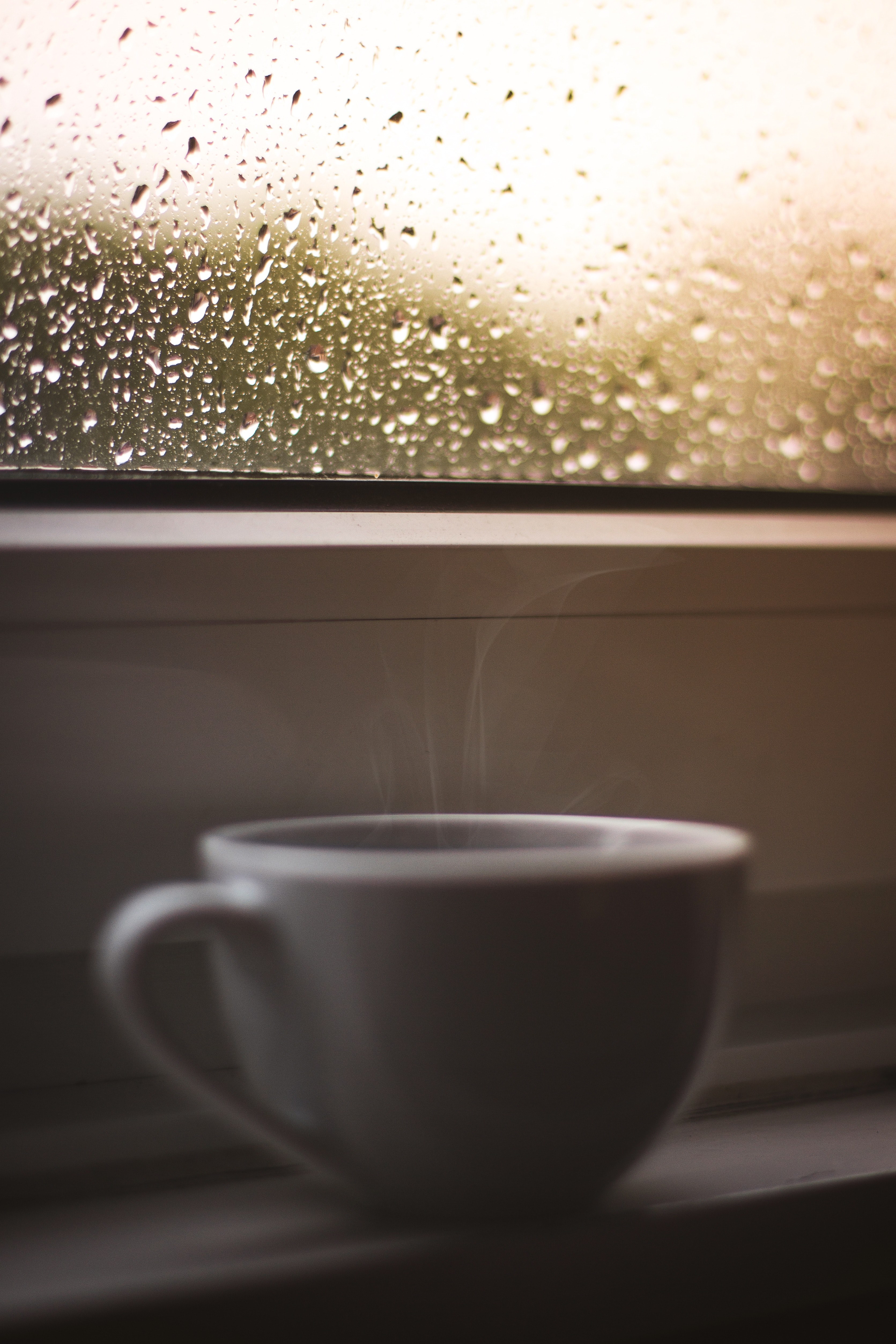 hot drink drink cup and steam hd, 4k, Phone HD Wallpaper