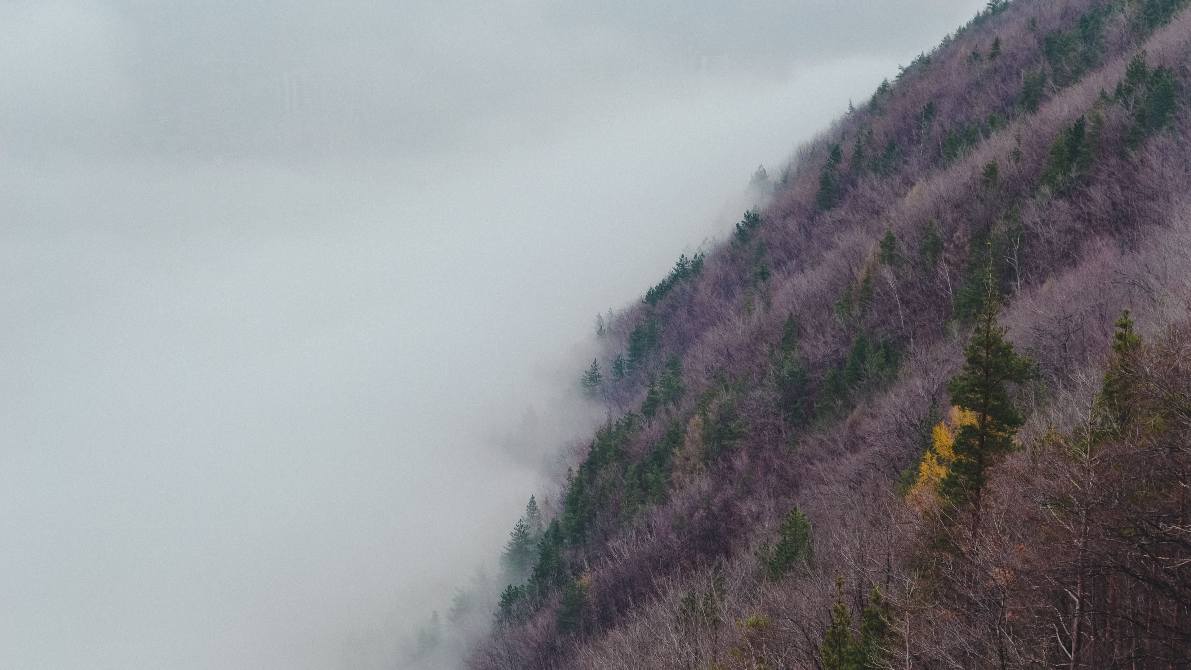 slope, hill, grass, fog, 4k, HD Wallpaper